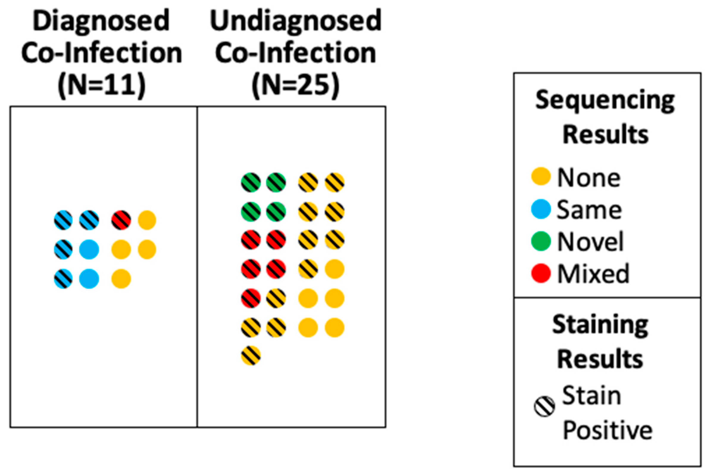 Pathogens 12 00932 g002