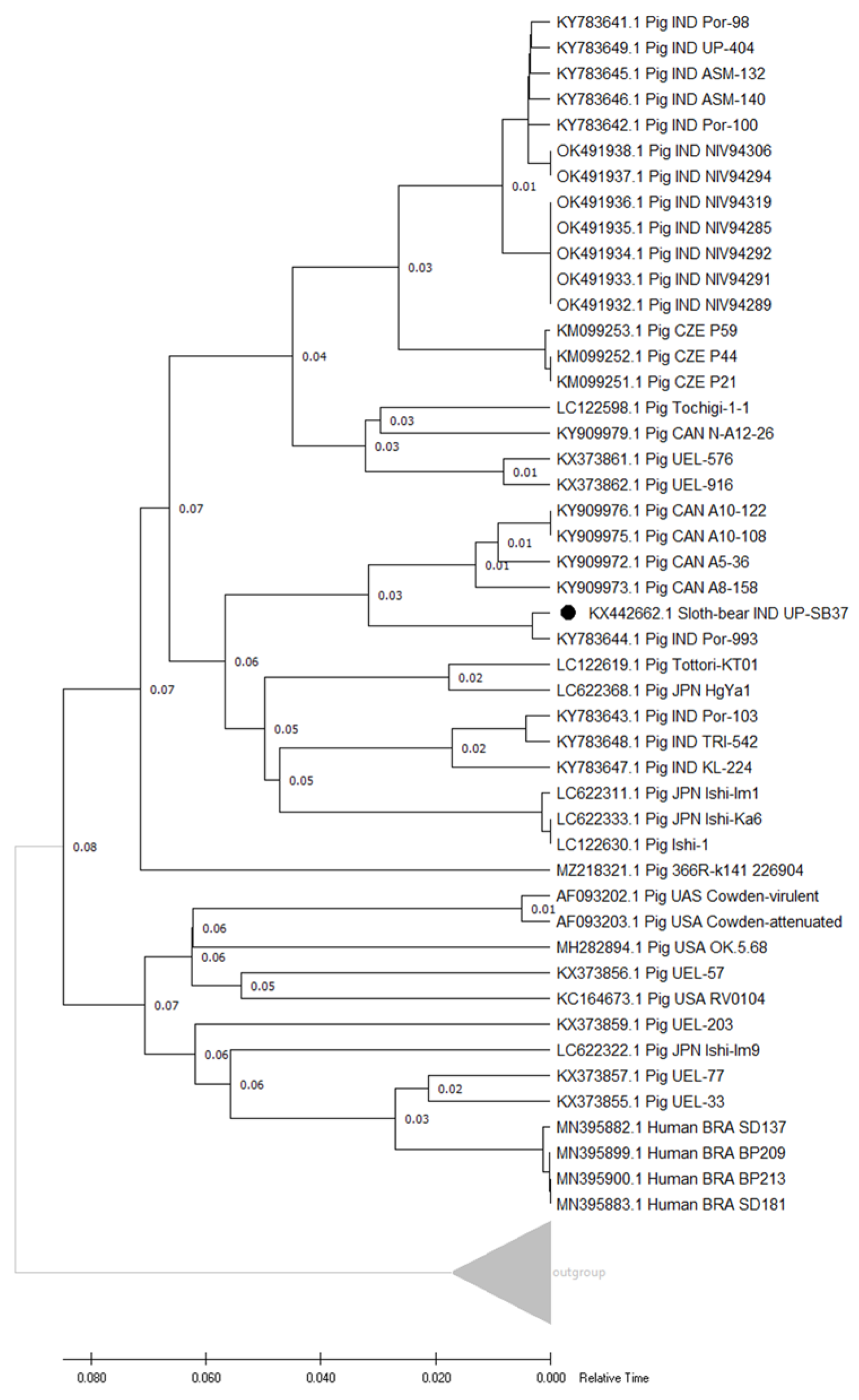 Pathogens 12 00934 g005