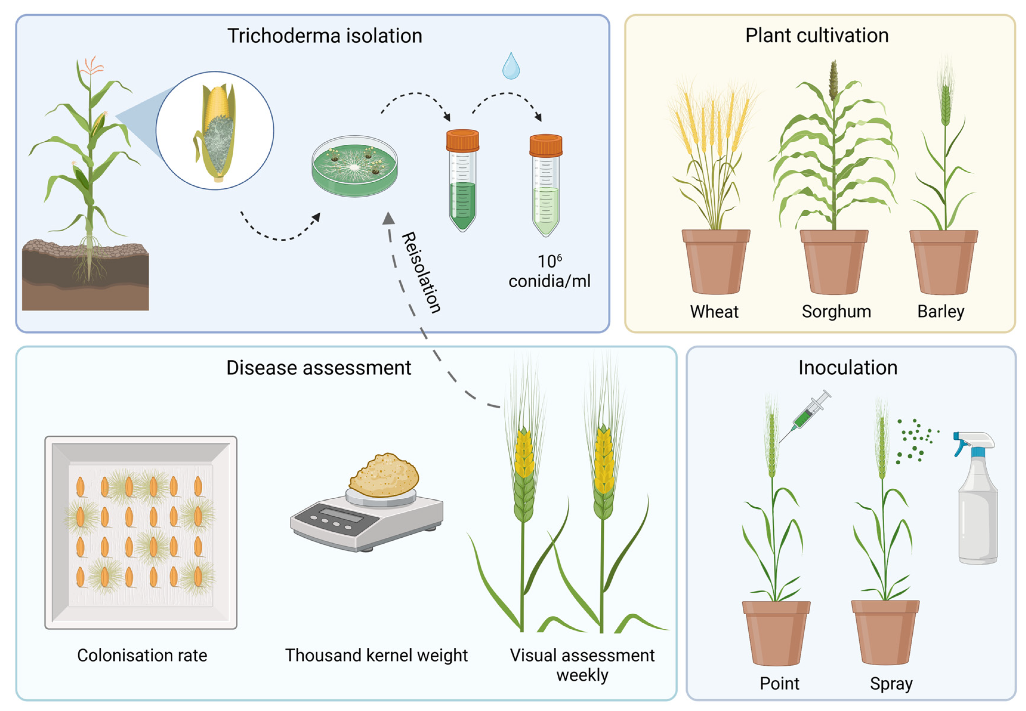 Pathogens 12 00936 g001