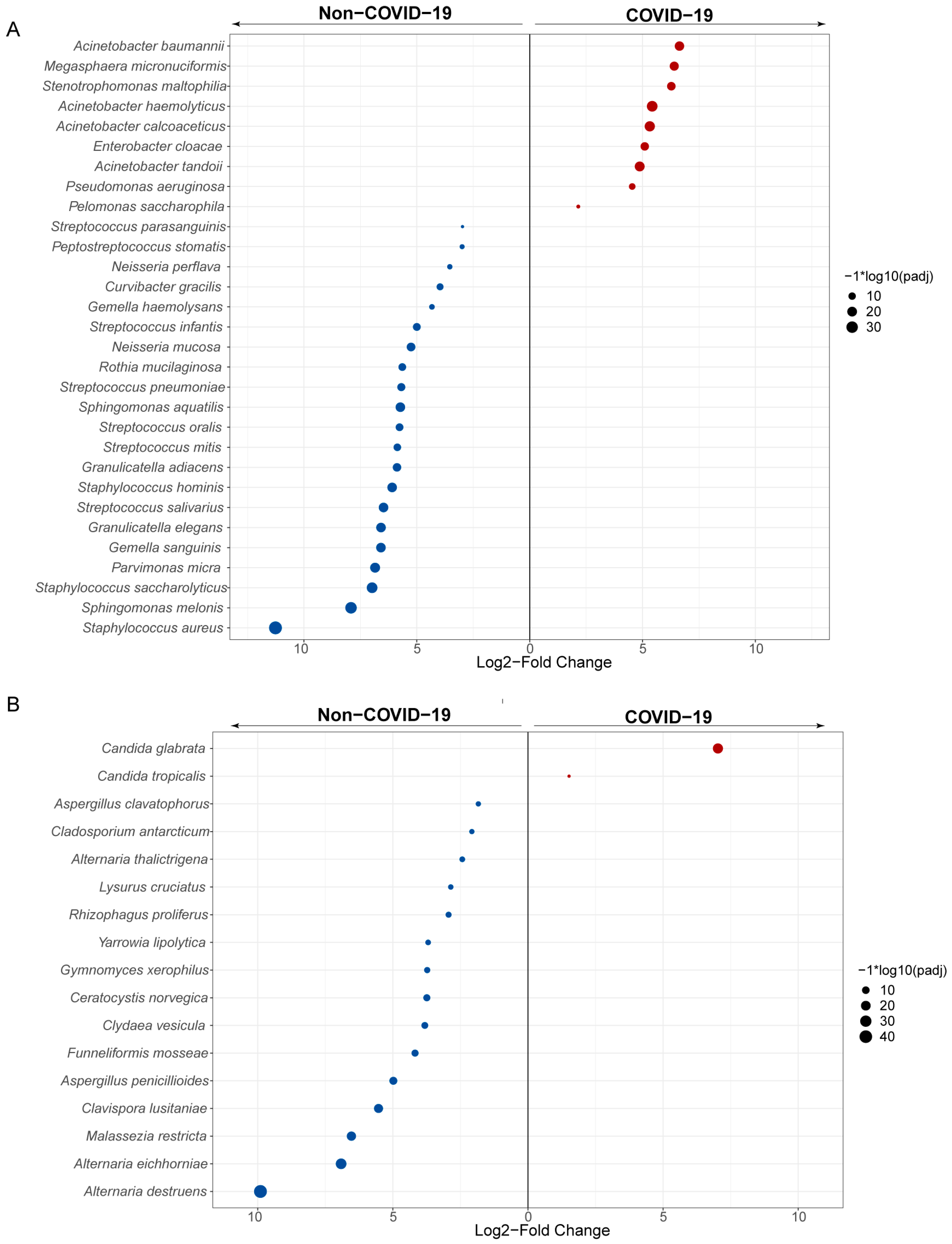 Pathogens 12 00944 g003