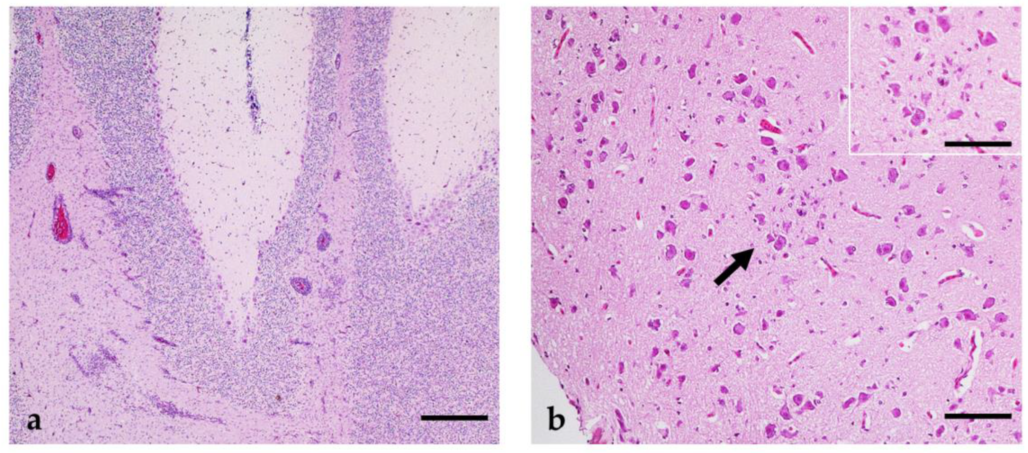 Pathogens 12 00959 g006