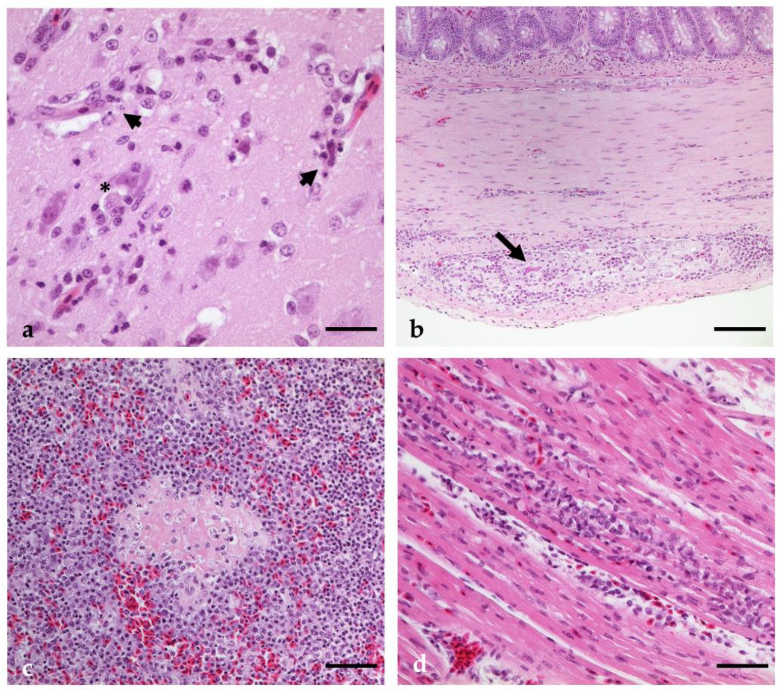Pathogens 12 00959 g010