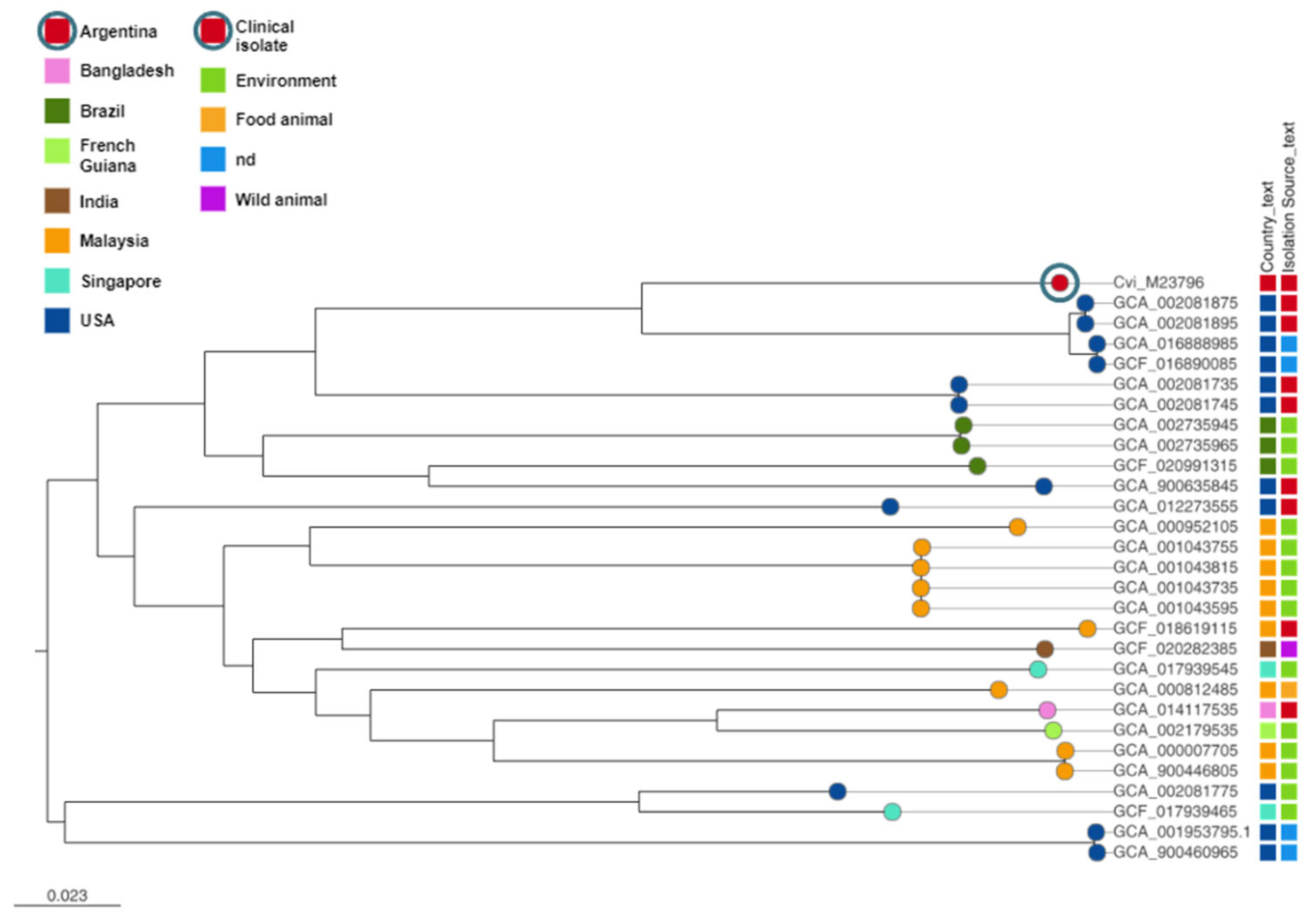 Pathogens 12 00961 g001