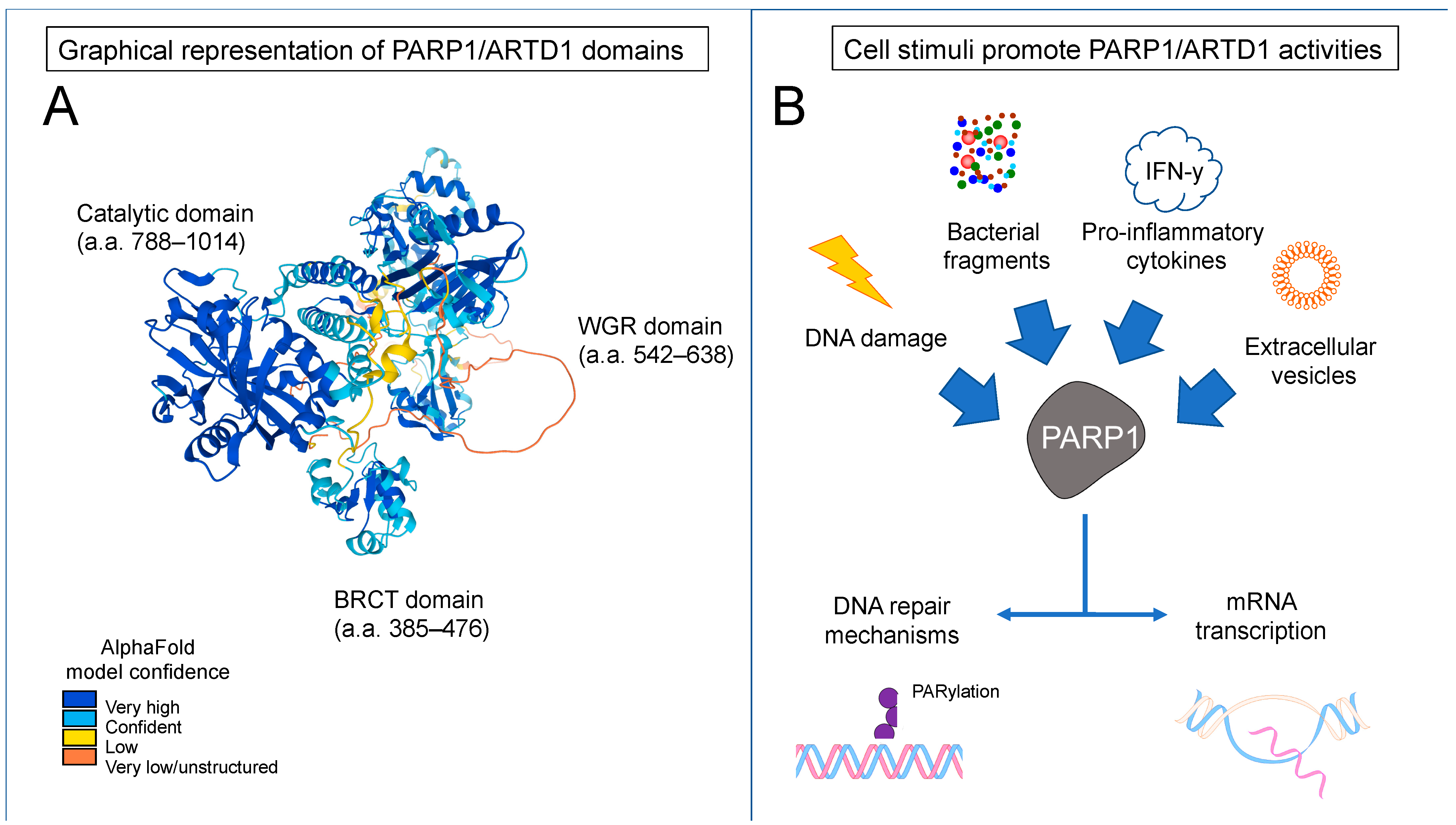 Pathogens 12 00964 g001