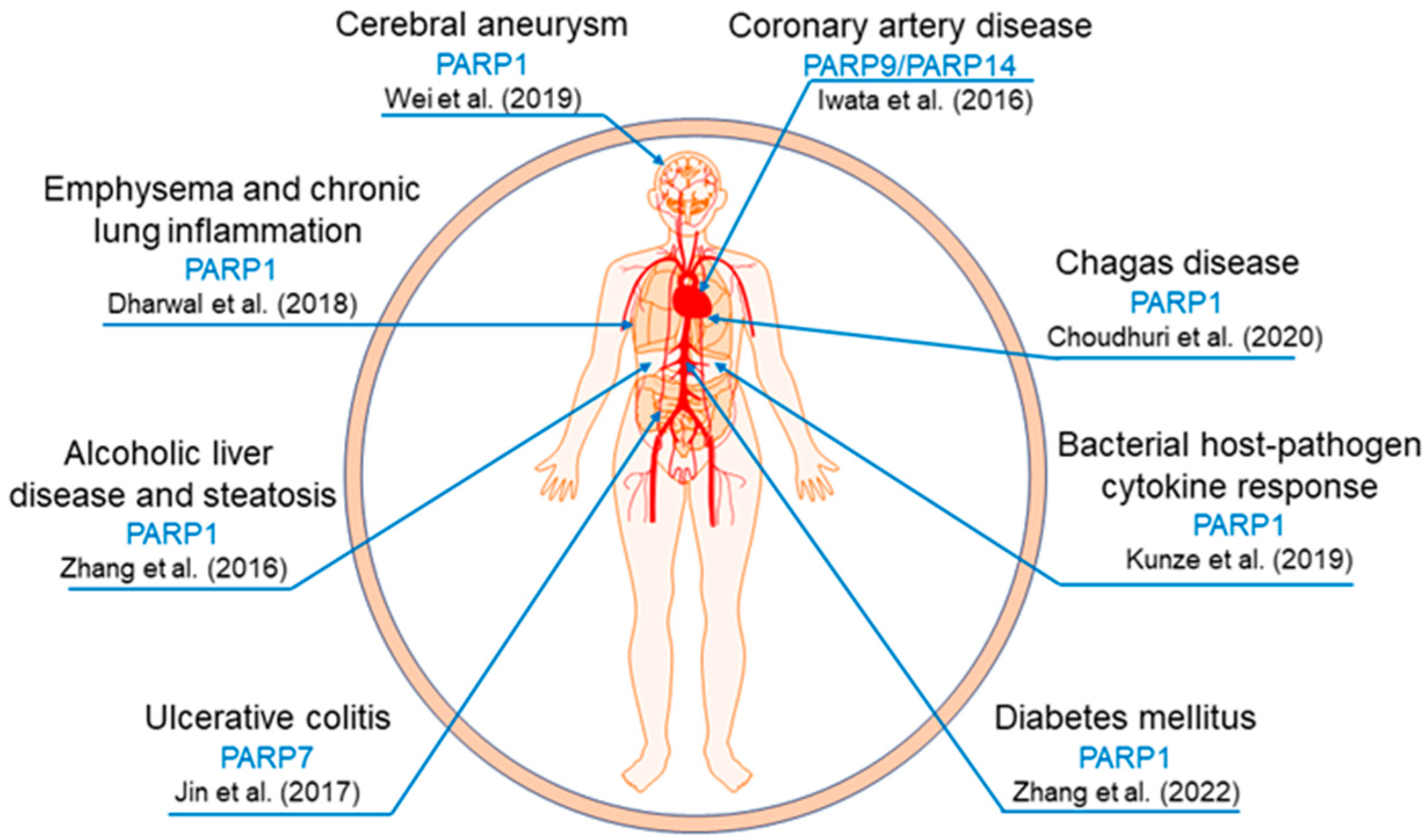 Pathogens 12 00964 g002