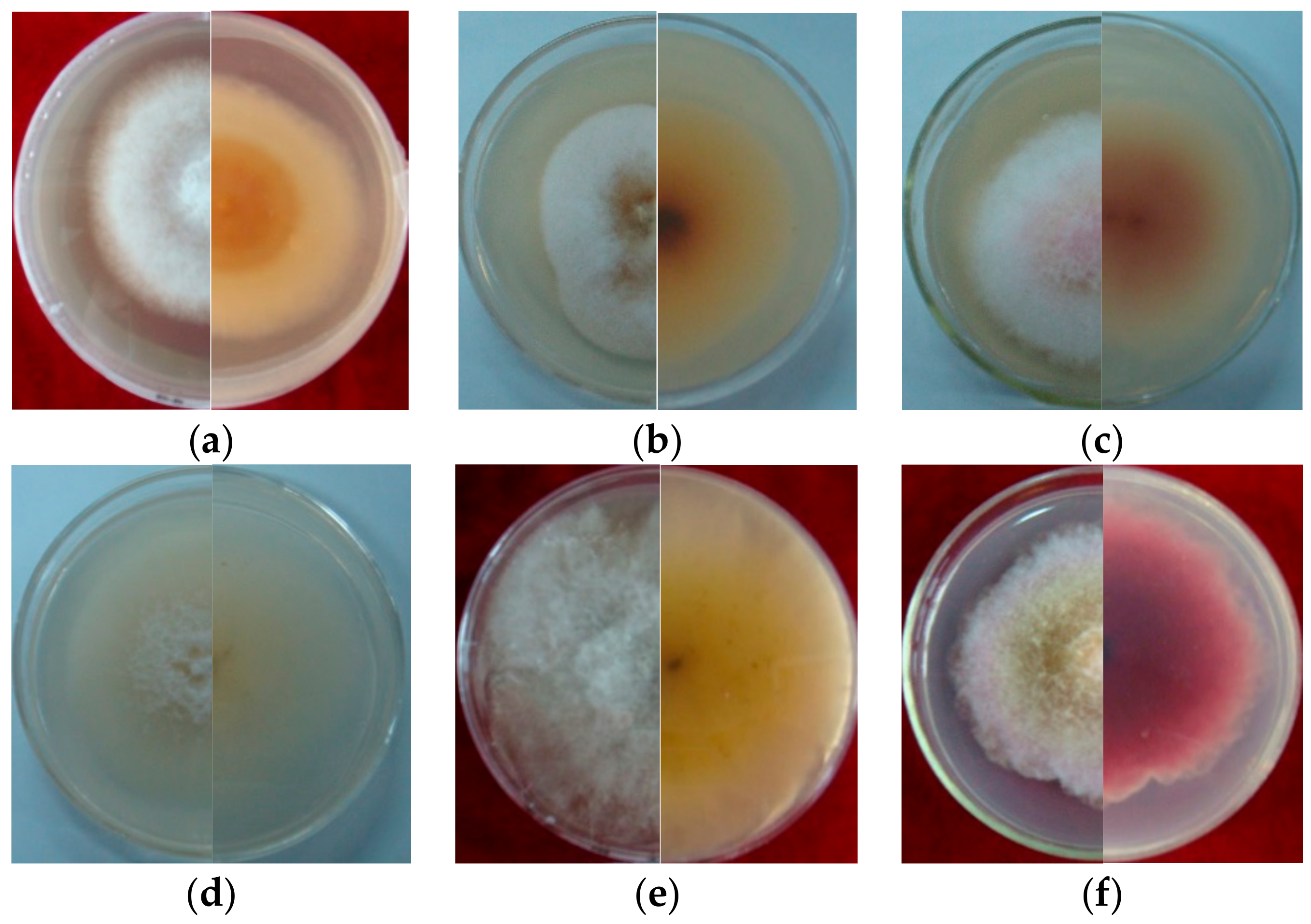 Pathogens 12 00970 g002a
