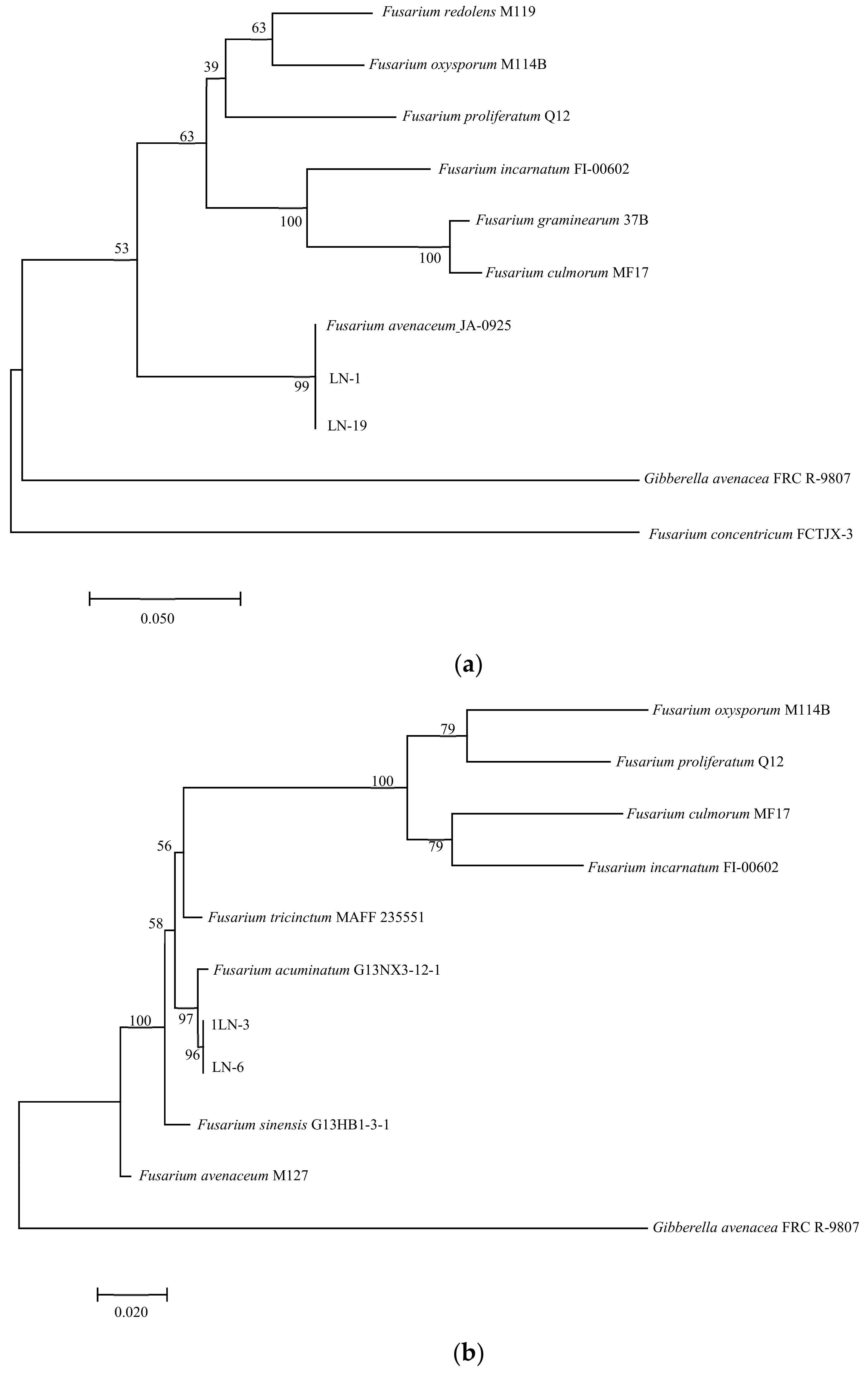 Pathogens 12 00970 g005a