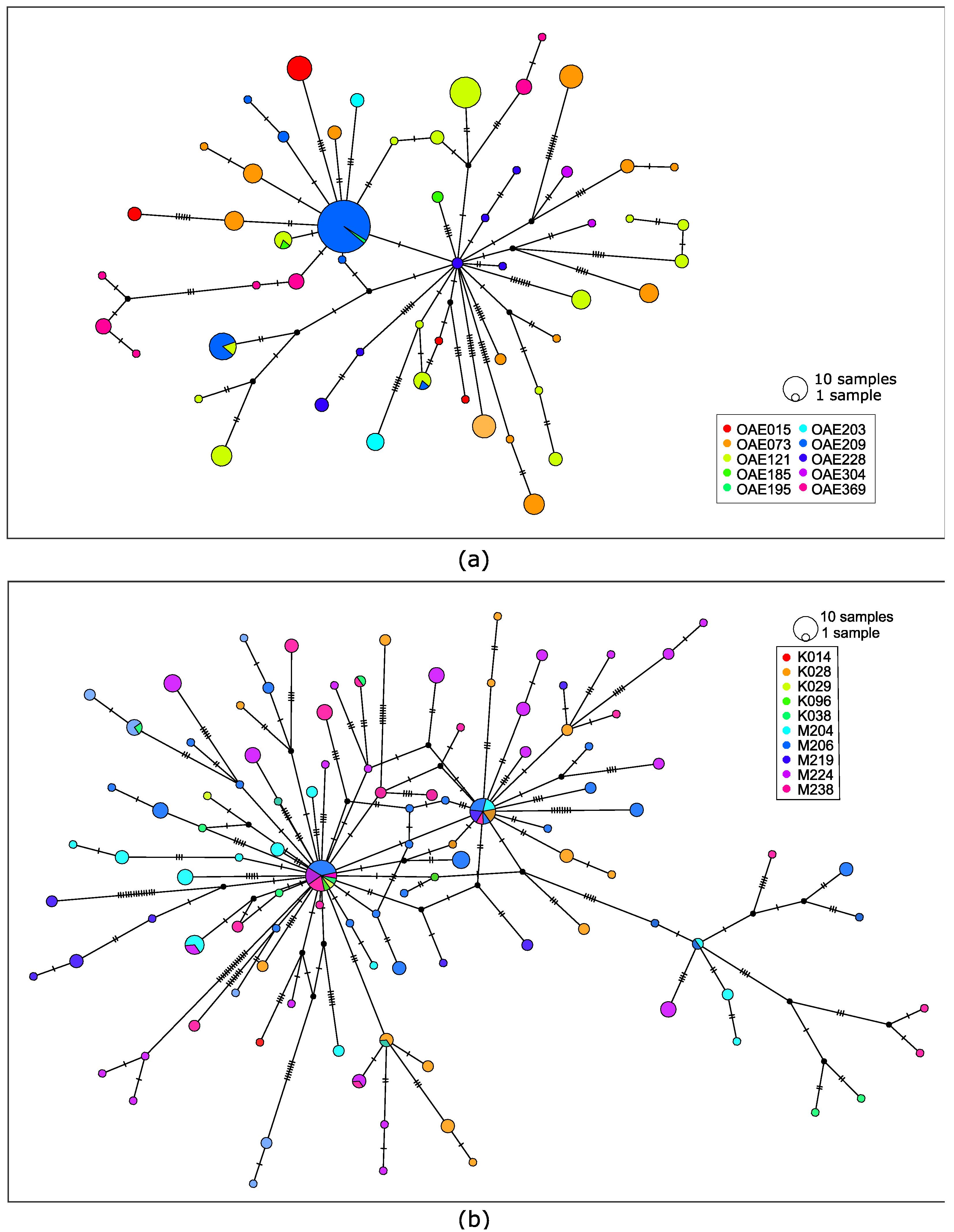 Pathogens 12 00971 g002 Pathogens 12 00971 g002