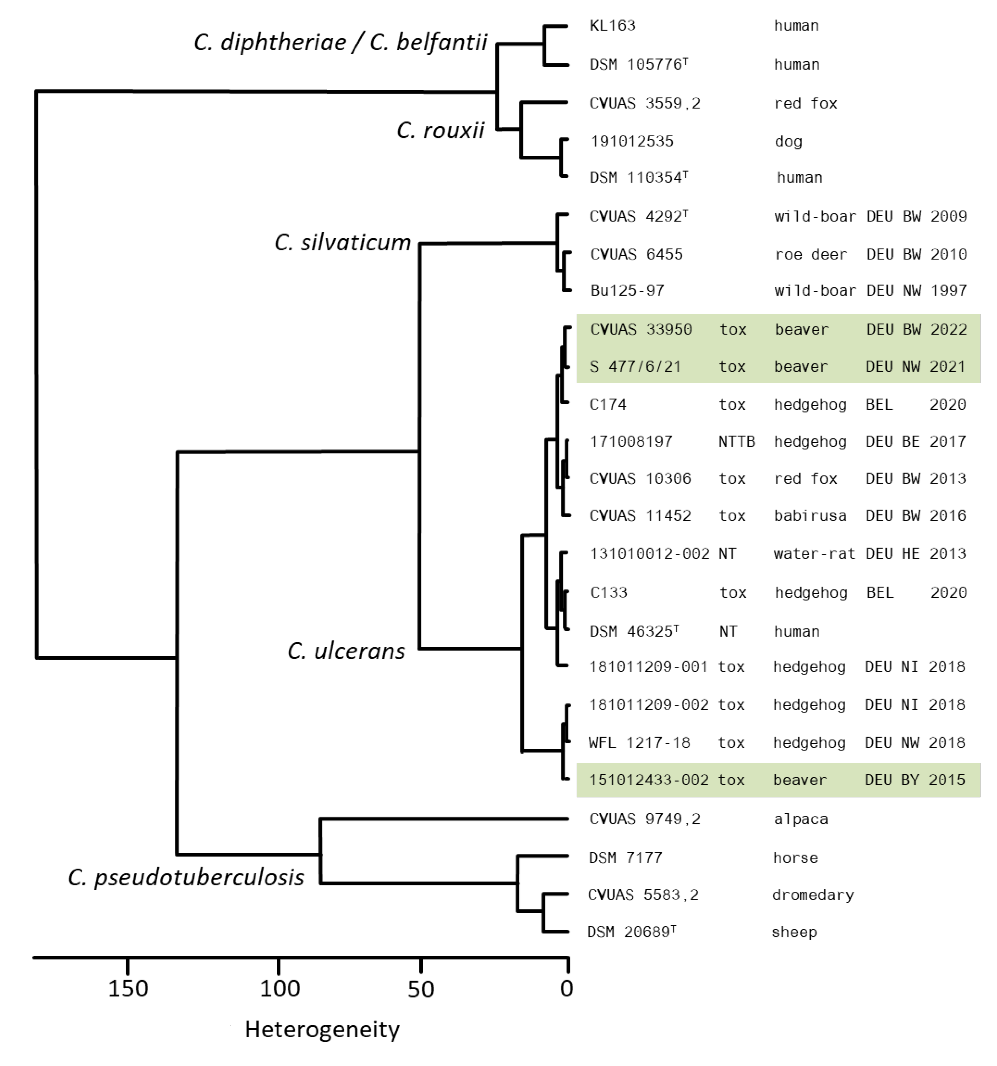Pathogens 12 00979 g002