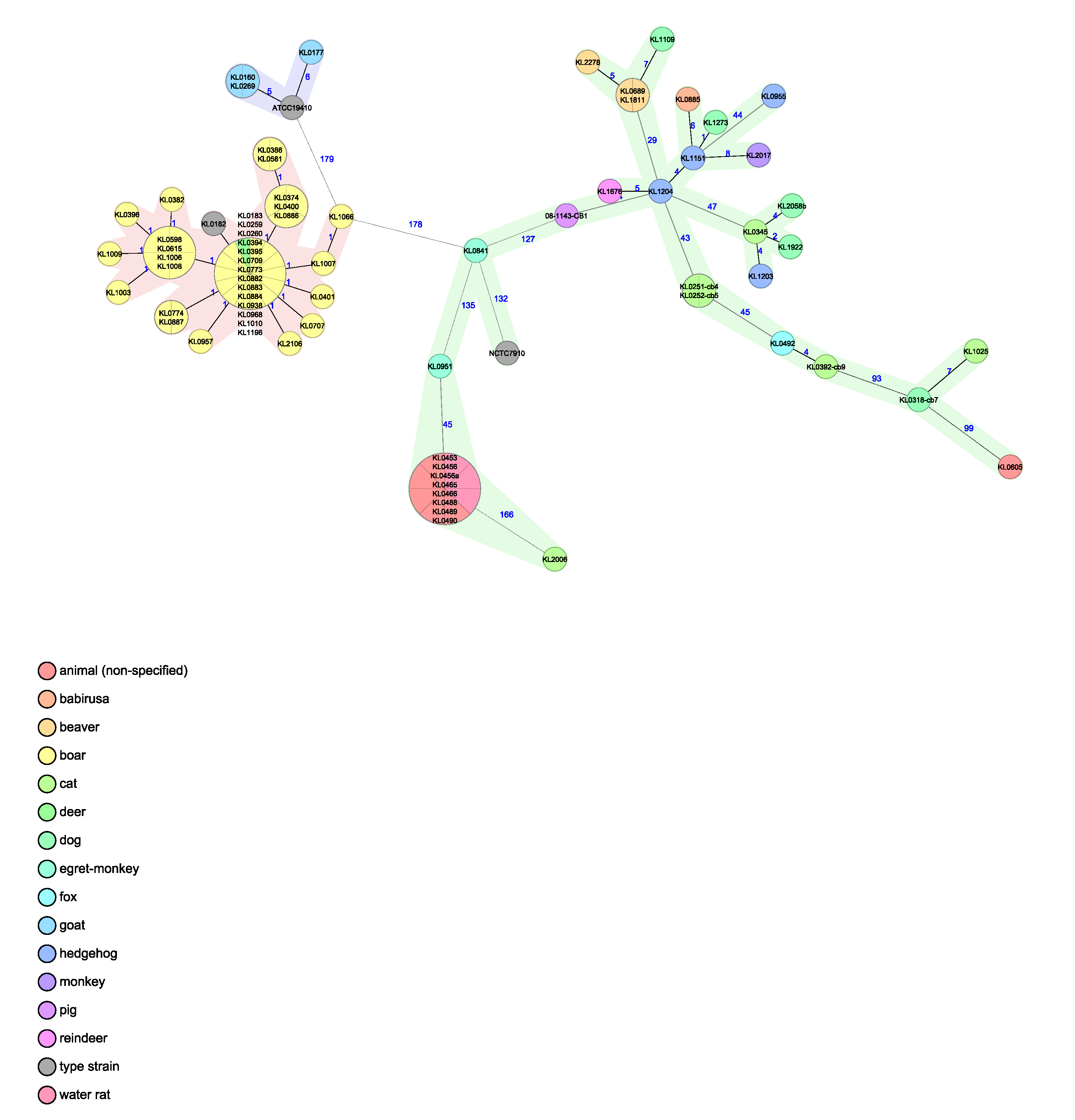 Pathogens 12 00979 g004
