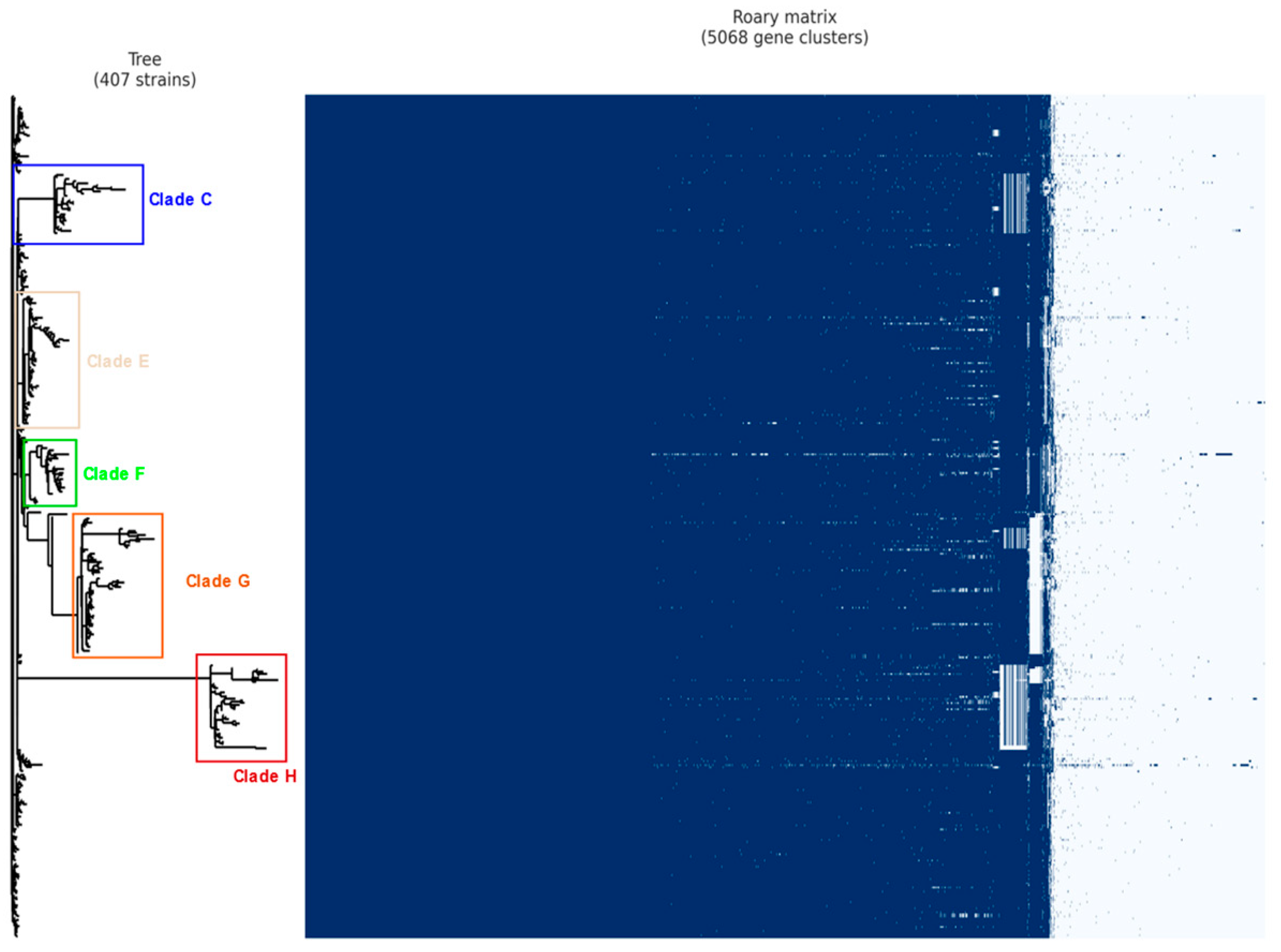 Pathogens 12 00991 g002 Pathogens 12 00991 g002