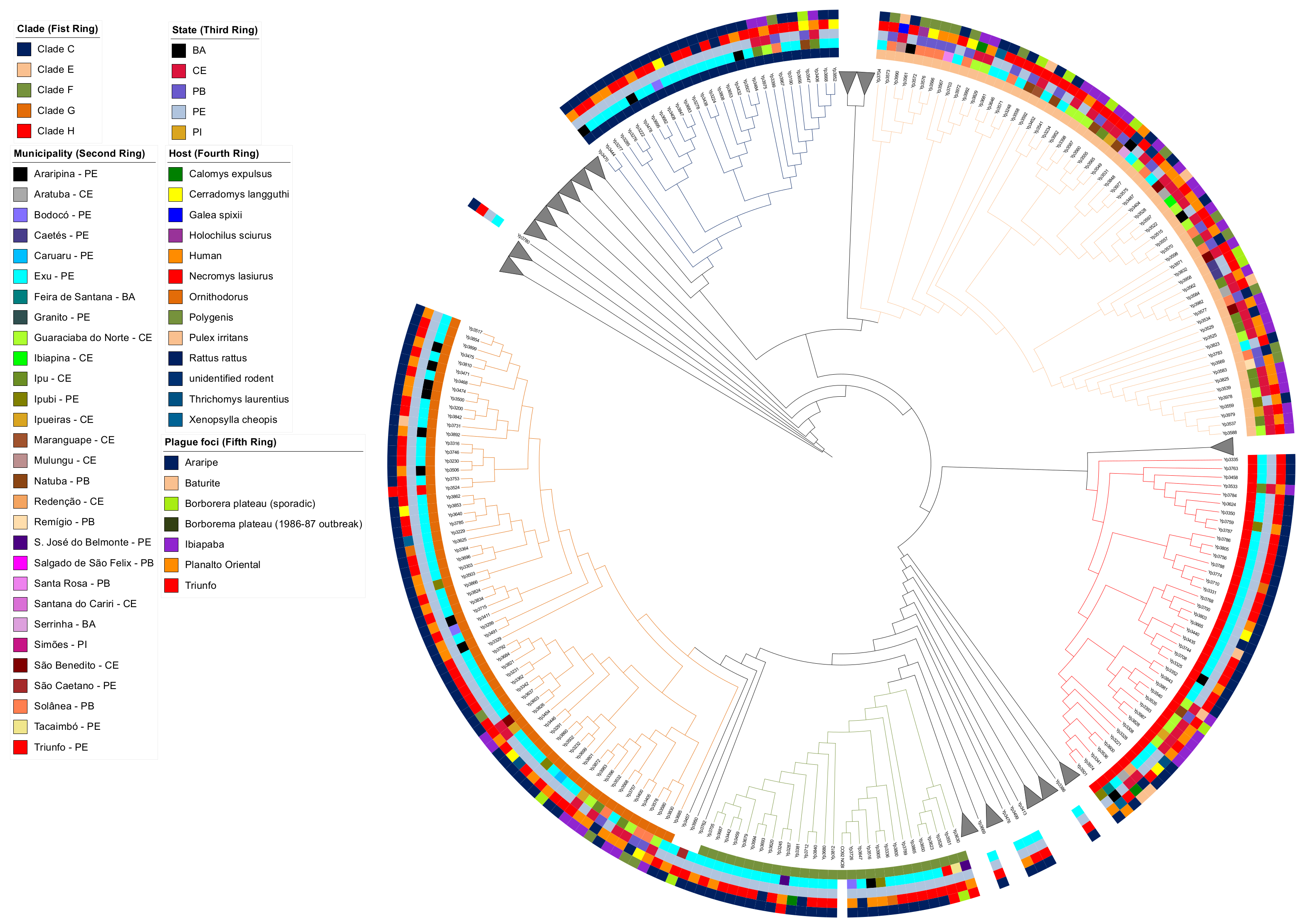 Pathogens 12 00991 g003 Pathogens 12 00991 g003