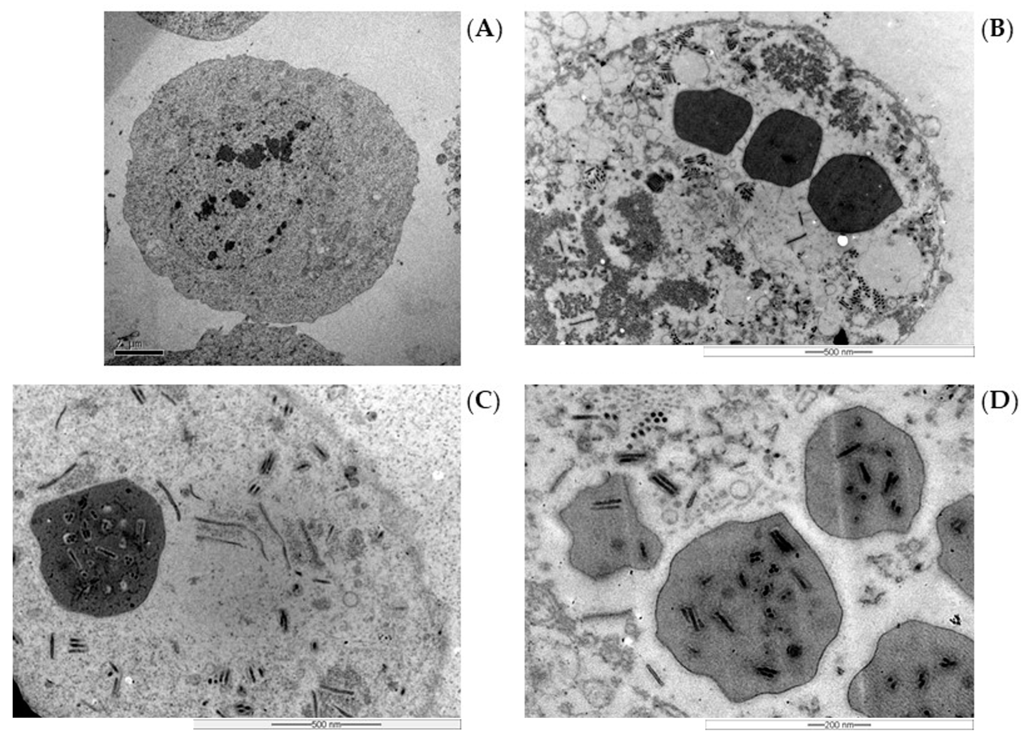 Pathogens 12 01001 g006