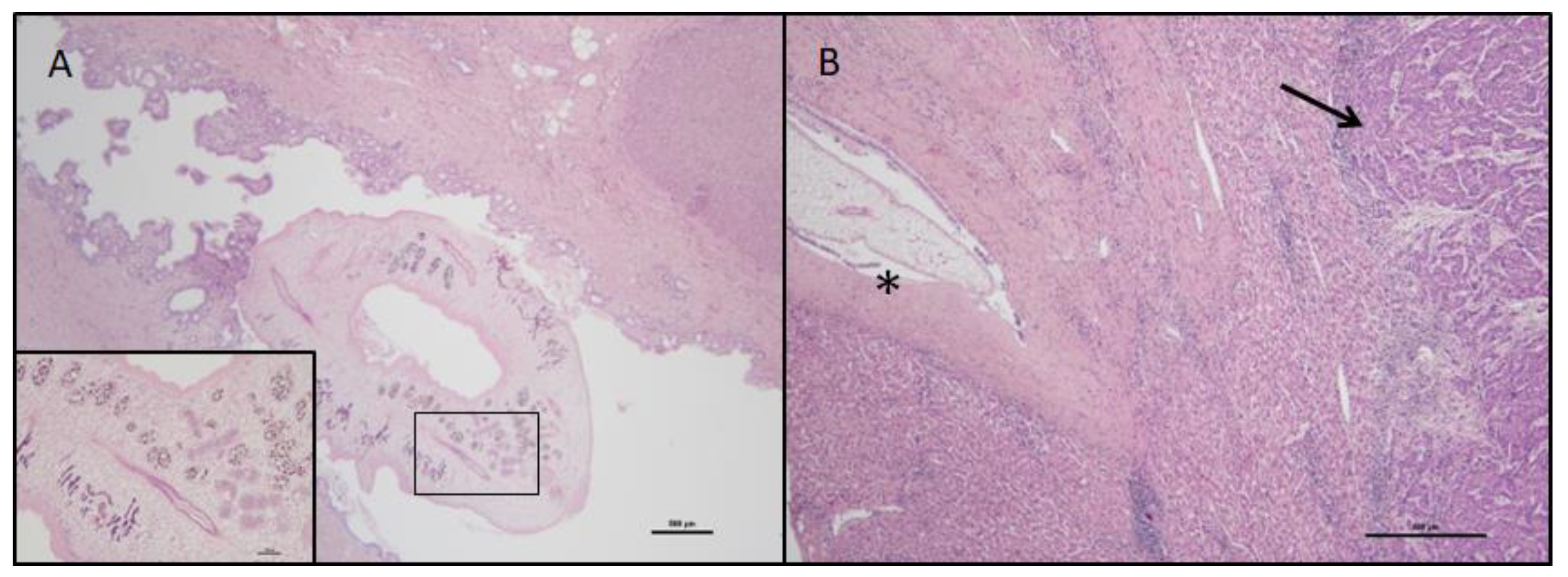 Pathogens 12 01003 g001