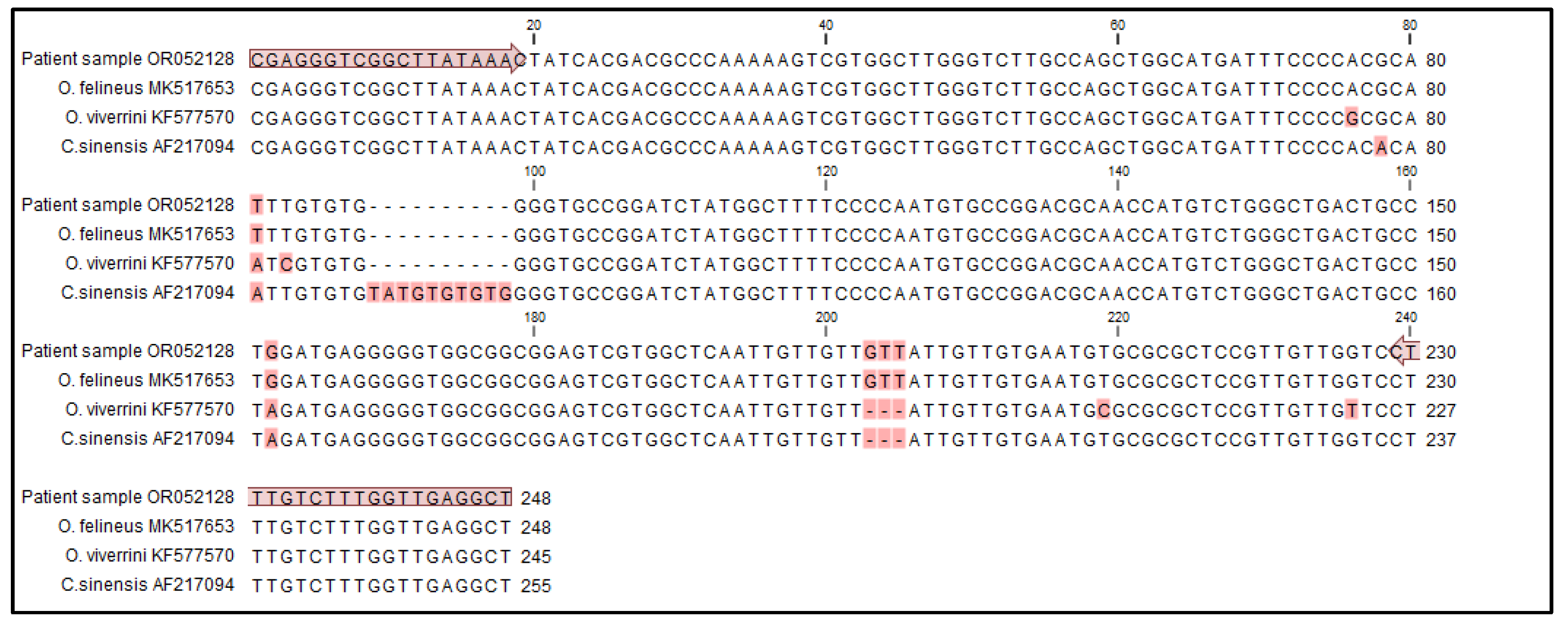Pathogens 12 01003 g002