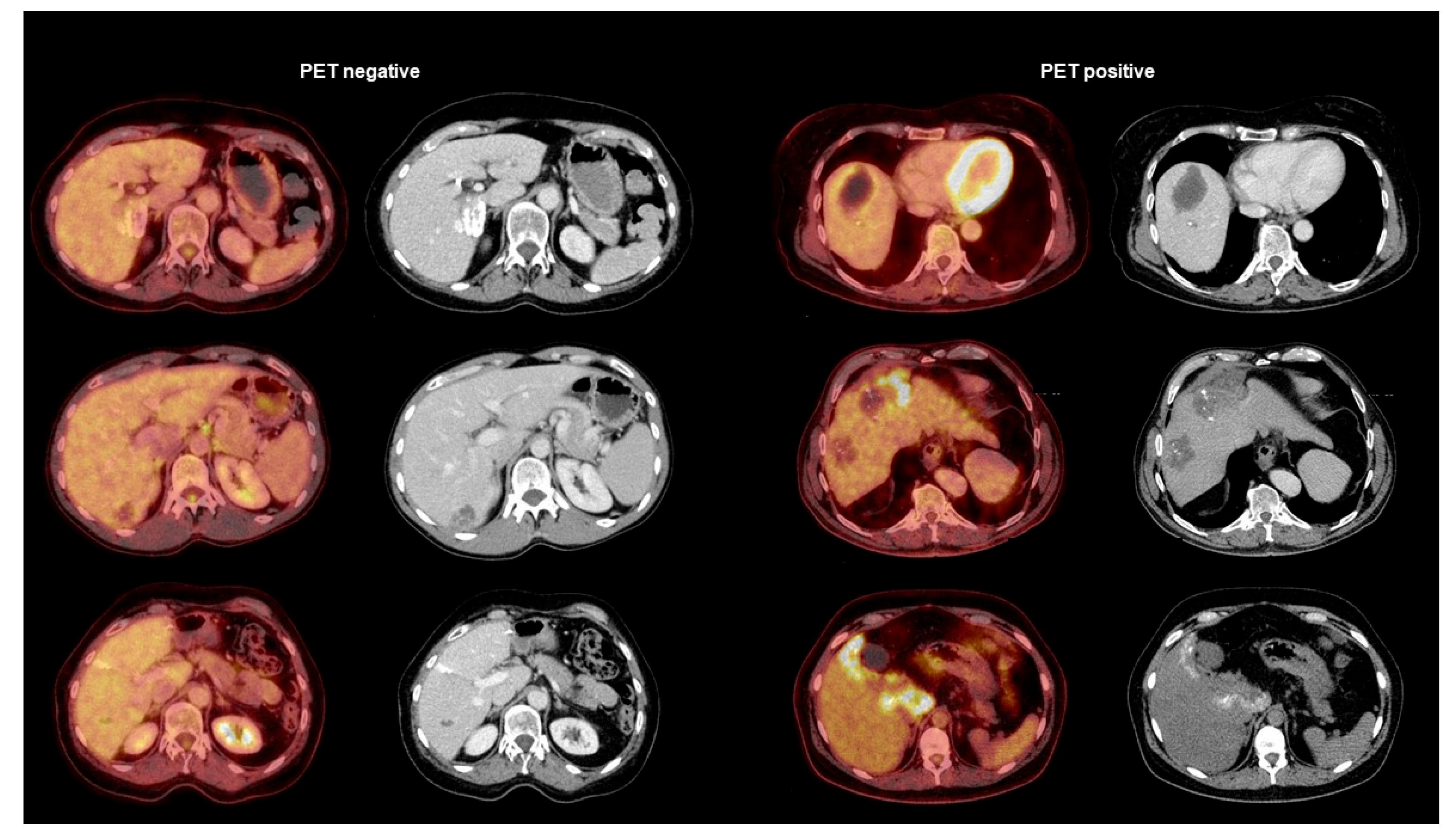 Pathogens 12 01041 g003
