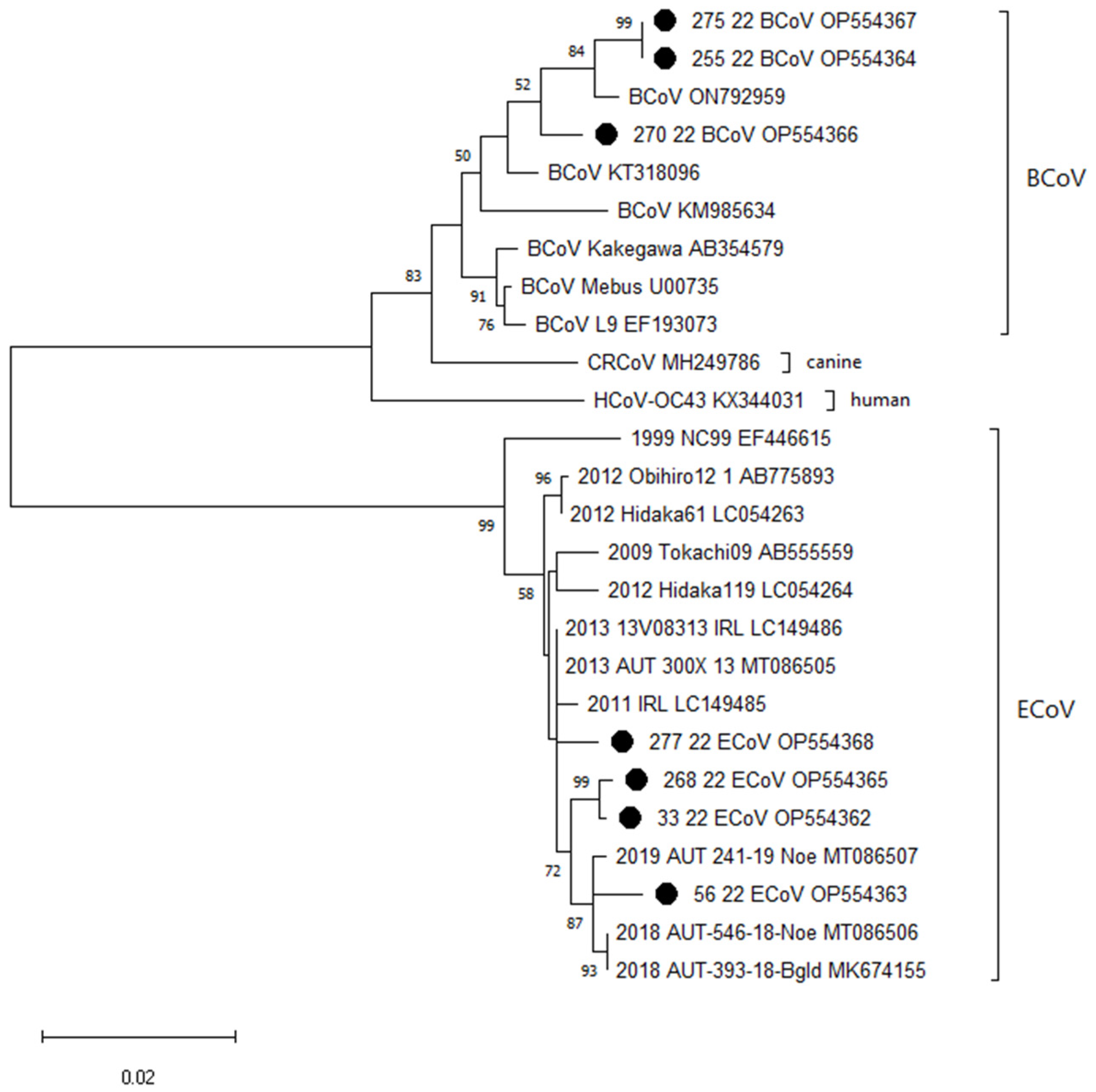 Pathogens 12 01043 g001