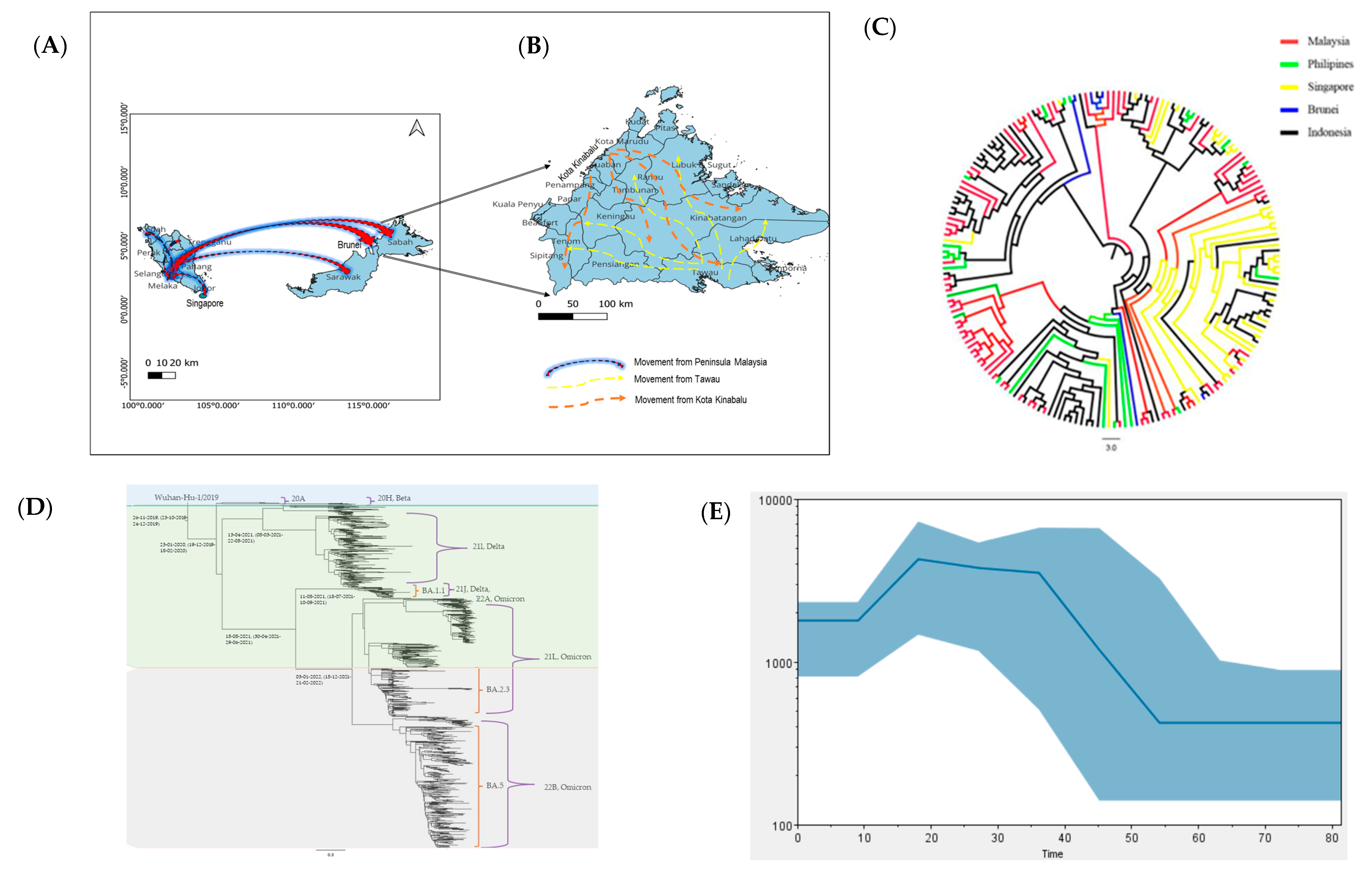Timeline of SARS-CoV-2 Transmission in Sabah, Malaysia: Tracking the ...