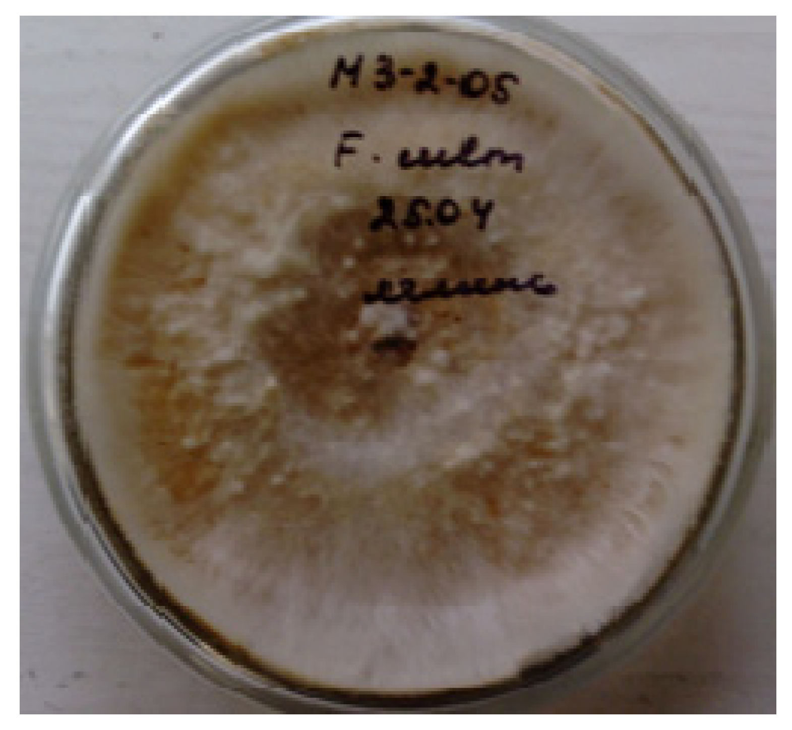 Pathogens 12 01051 g001