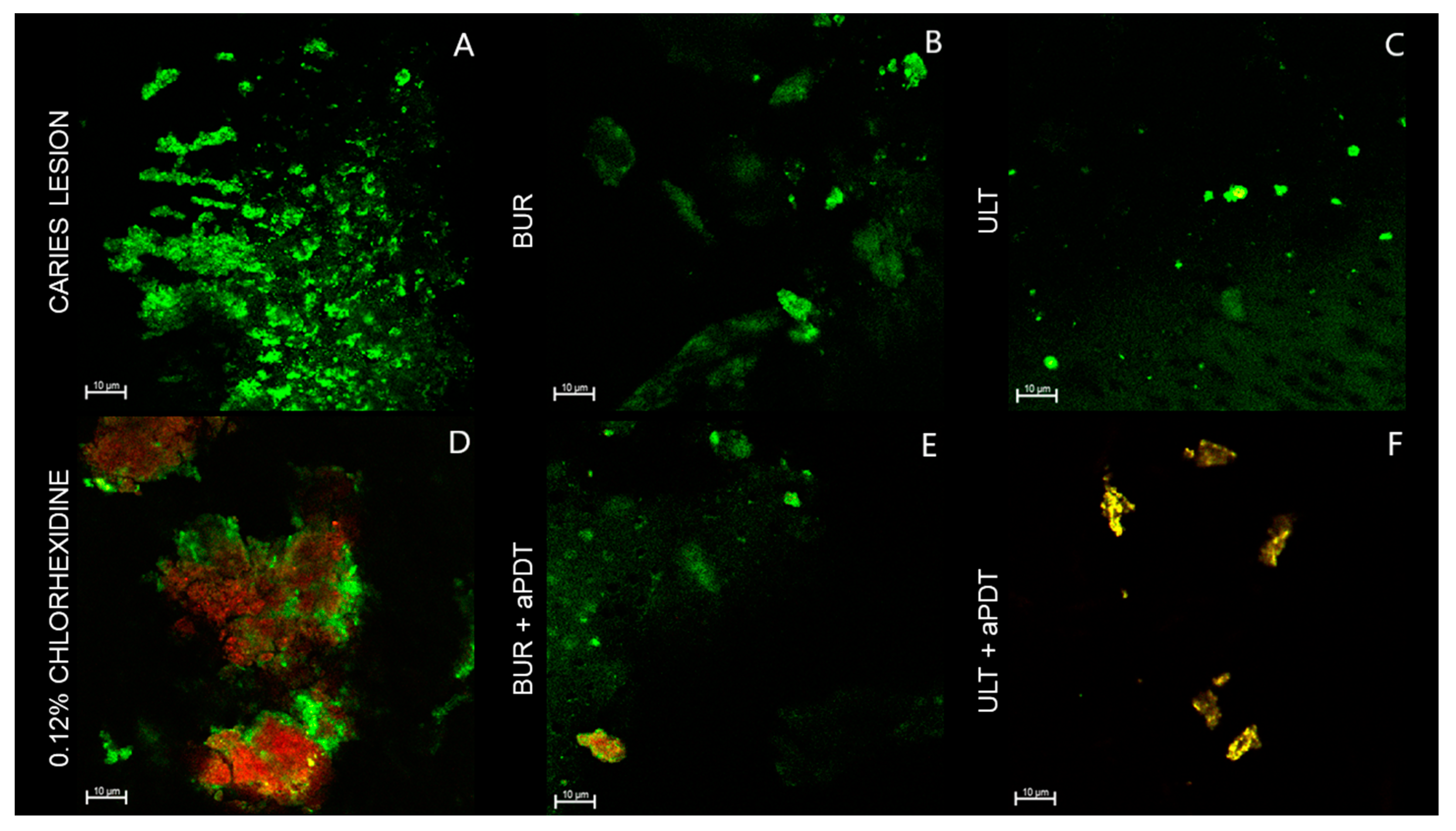 Pathogens 12 01052 g002