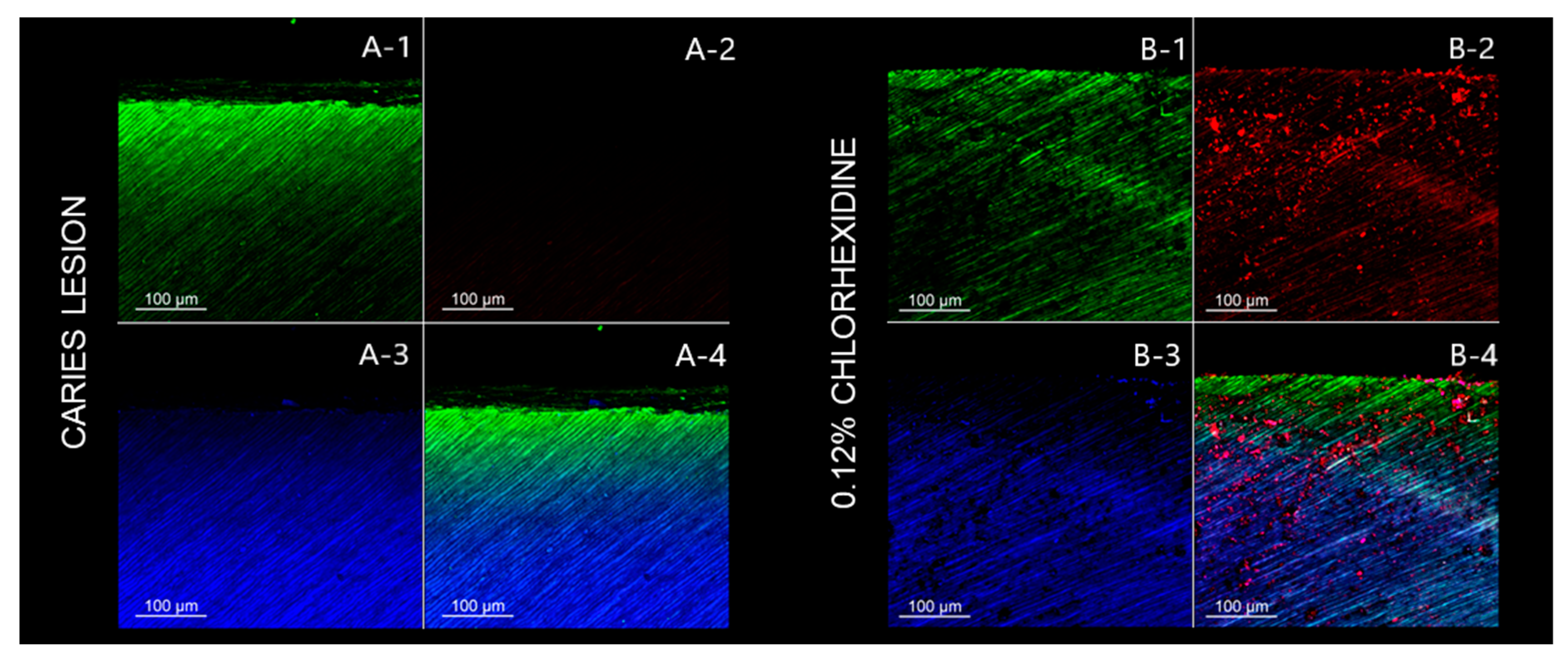 Pathogens 12 01052 g003