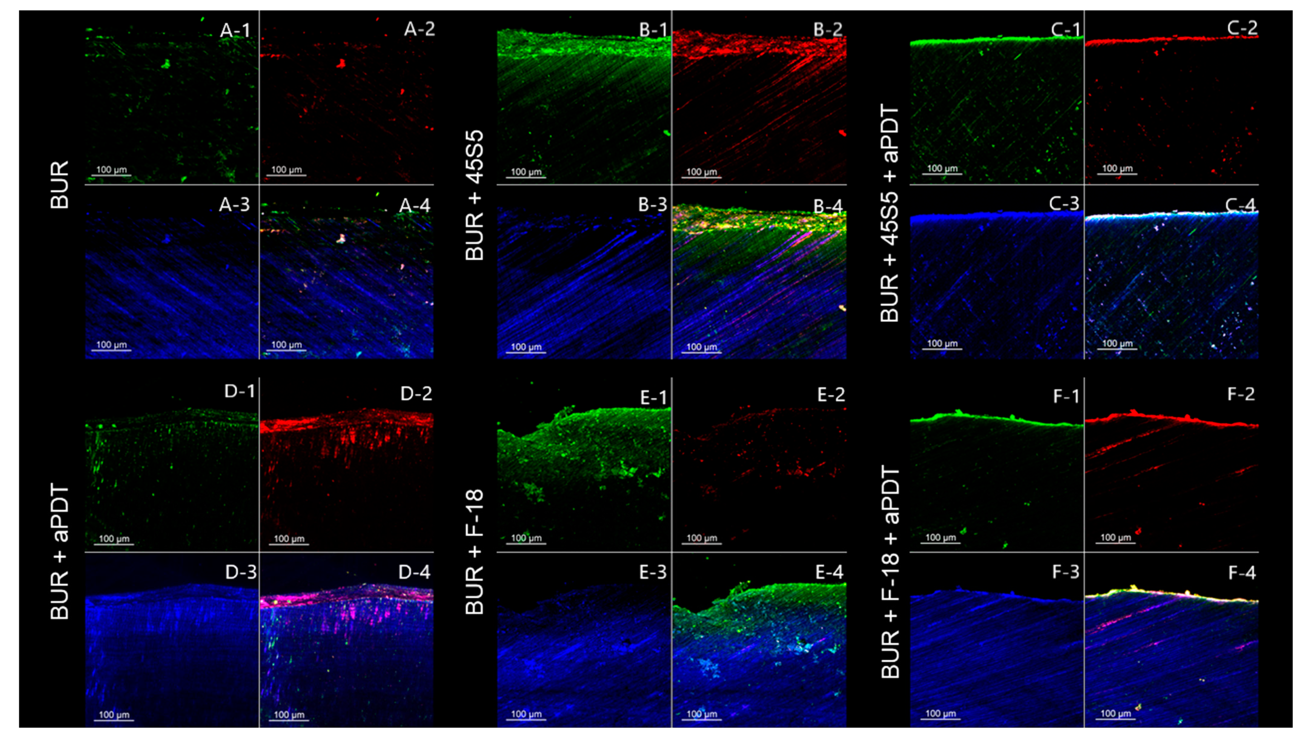 Pathogens 12 01052 g004