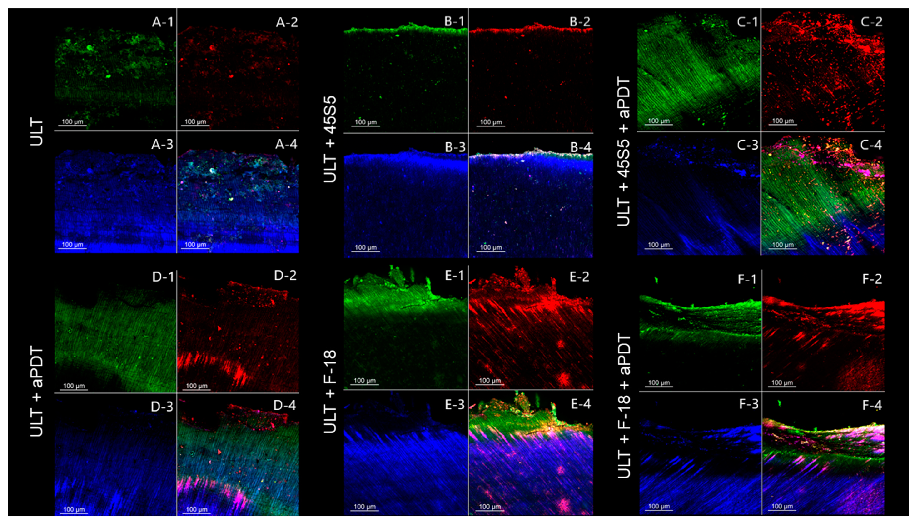 Pathogens 12 01052 g005