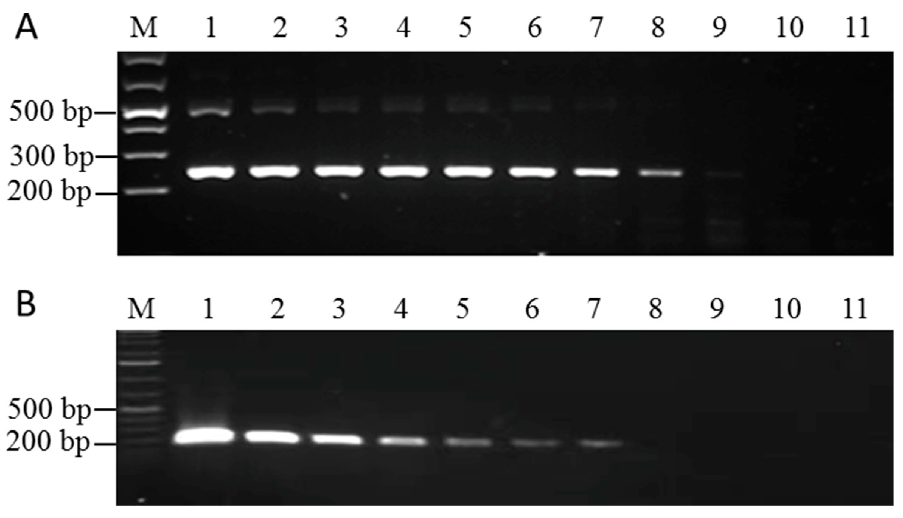 Pathogens 12 01055 g003