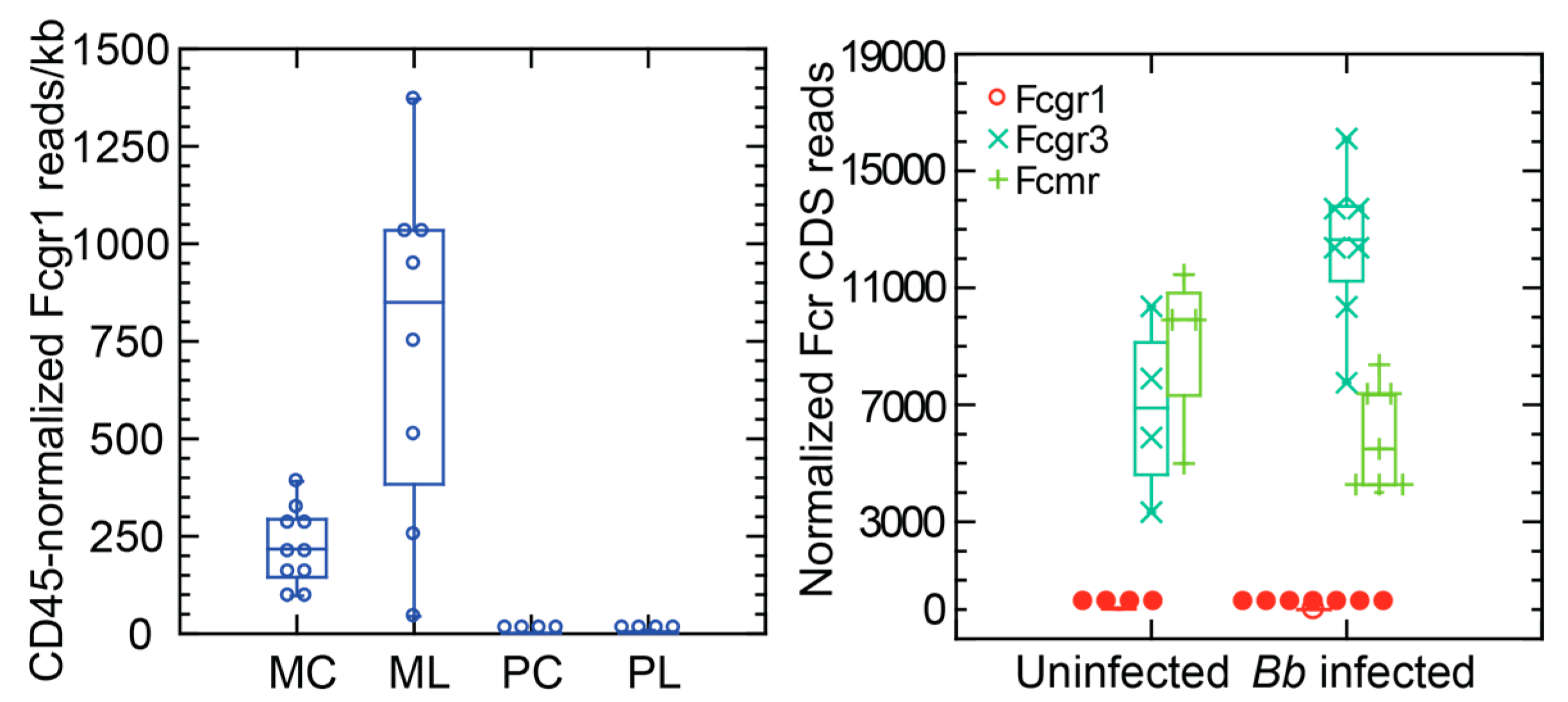 Pathogens 12 01056 g001 Pathogens 12 01056 g001