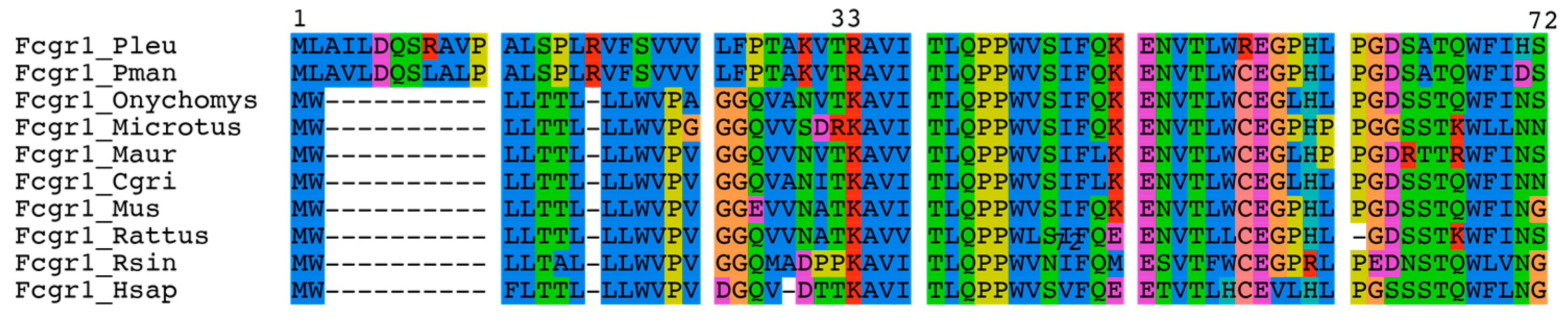 Pathogens 12 01056 g004a Pathogens 12 01056 g004a