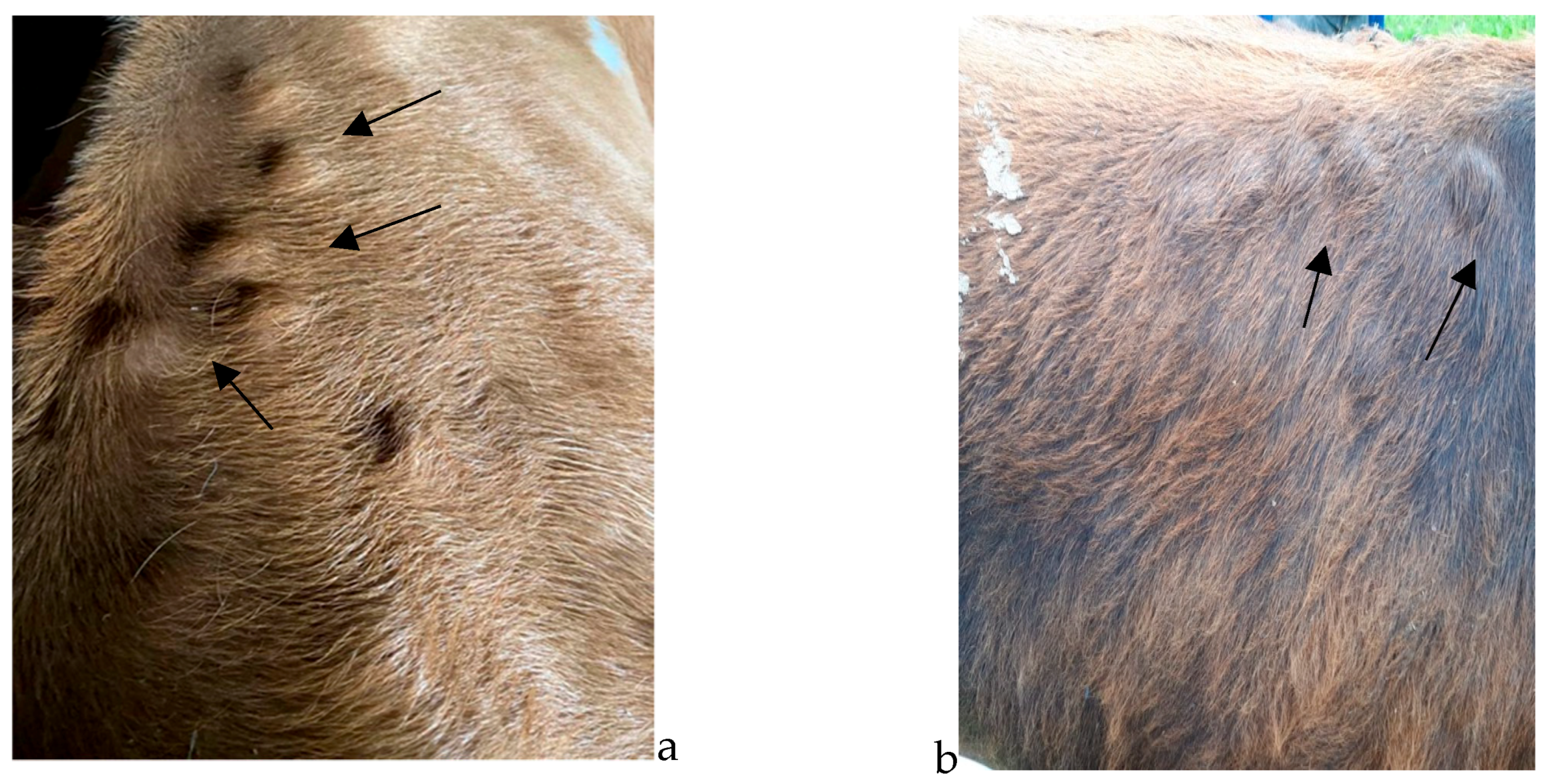 Pathogens 12 01077 g002