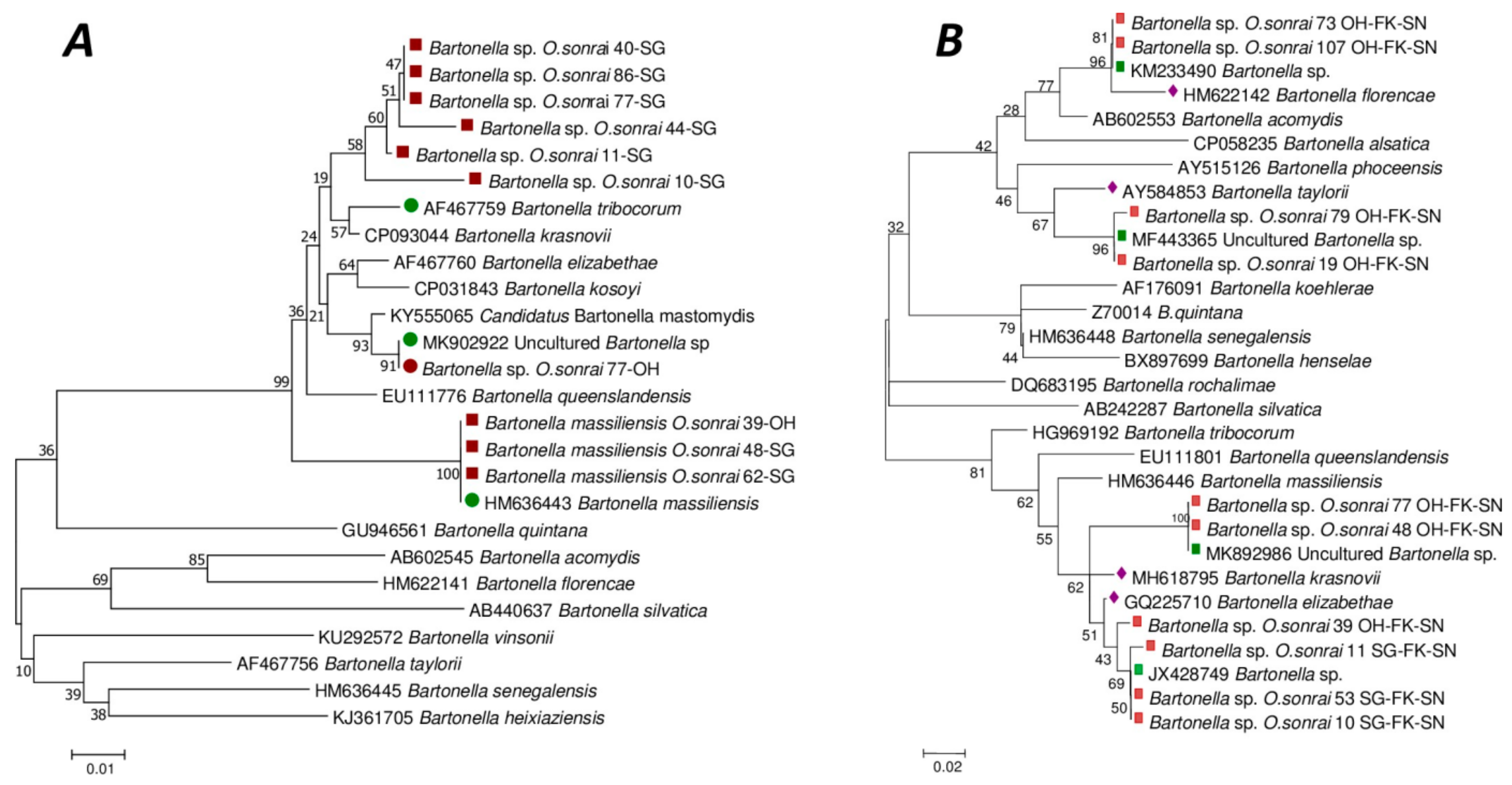 Pathogens 12 01078 g003