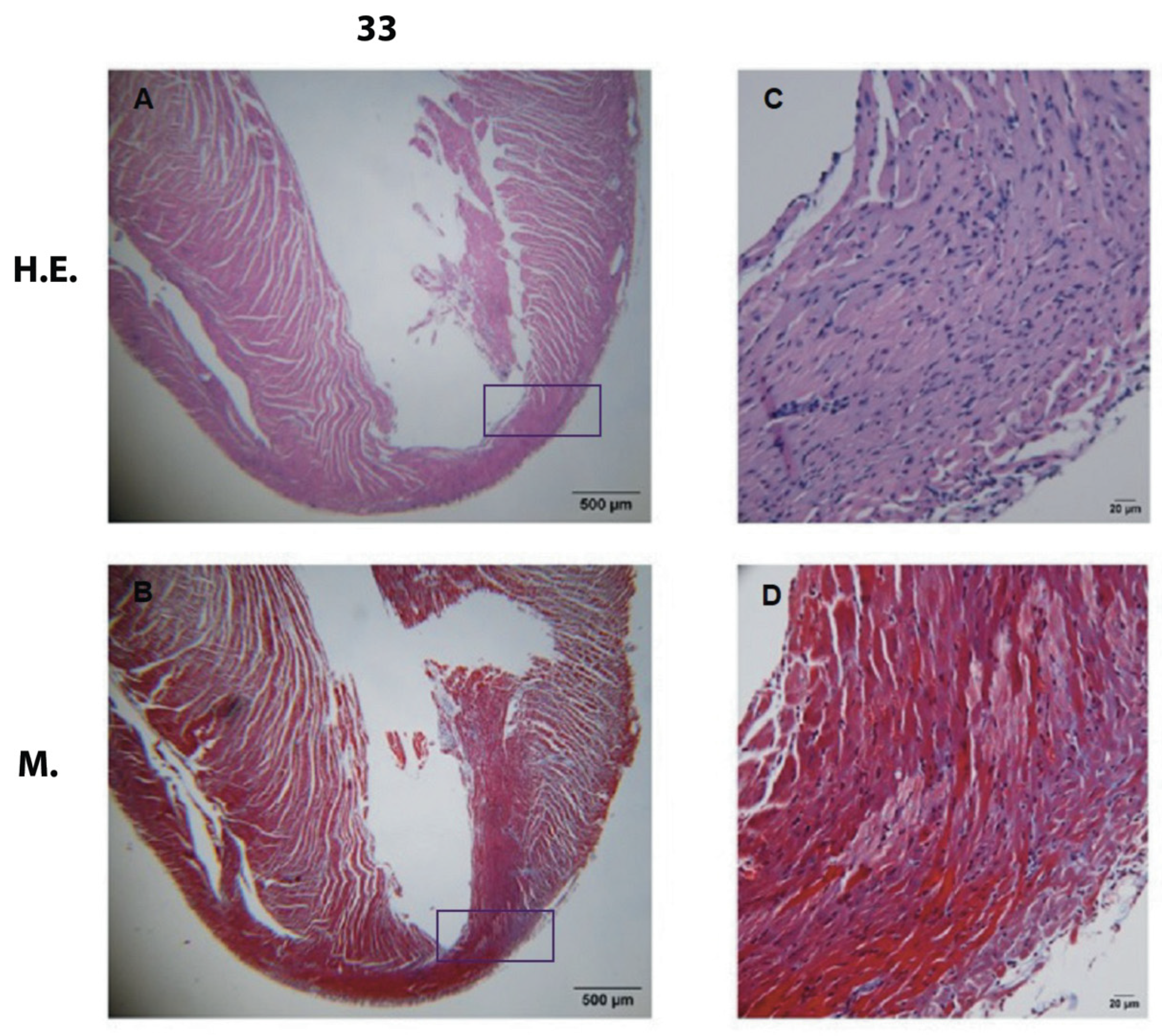 Pathogens 12 01084 g003