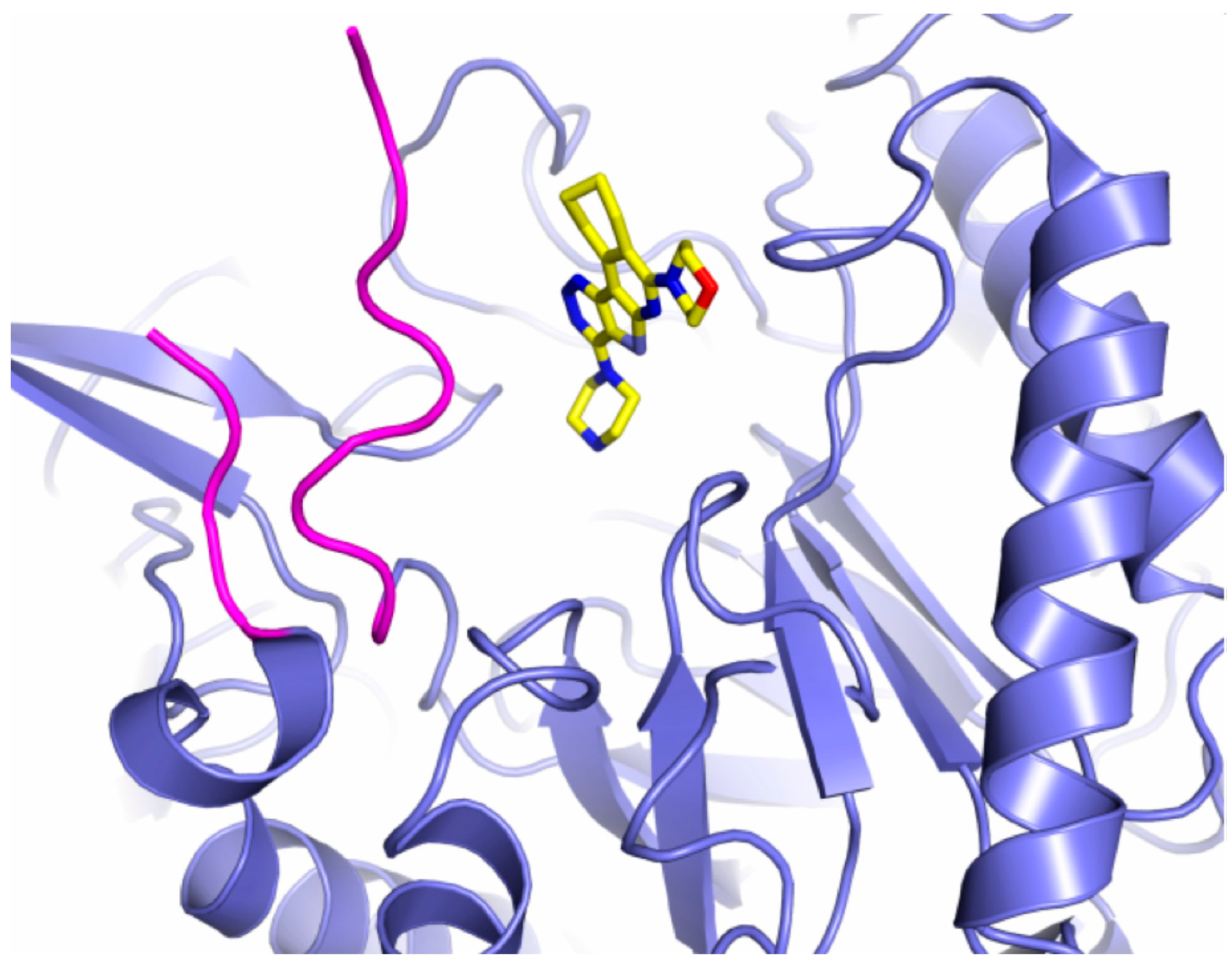 Pathogens 12 01086 g004 Pathogens 12 01086 g004