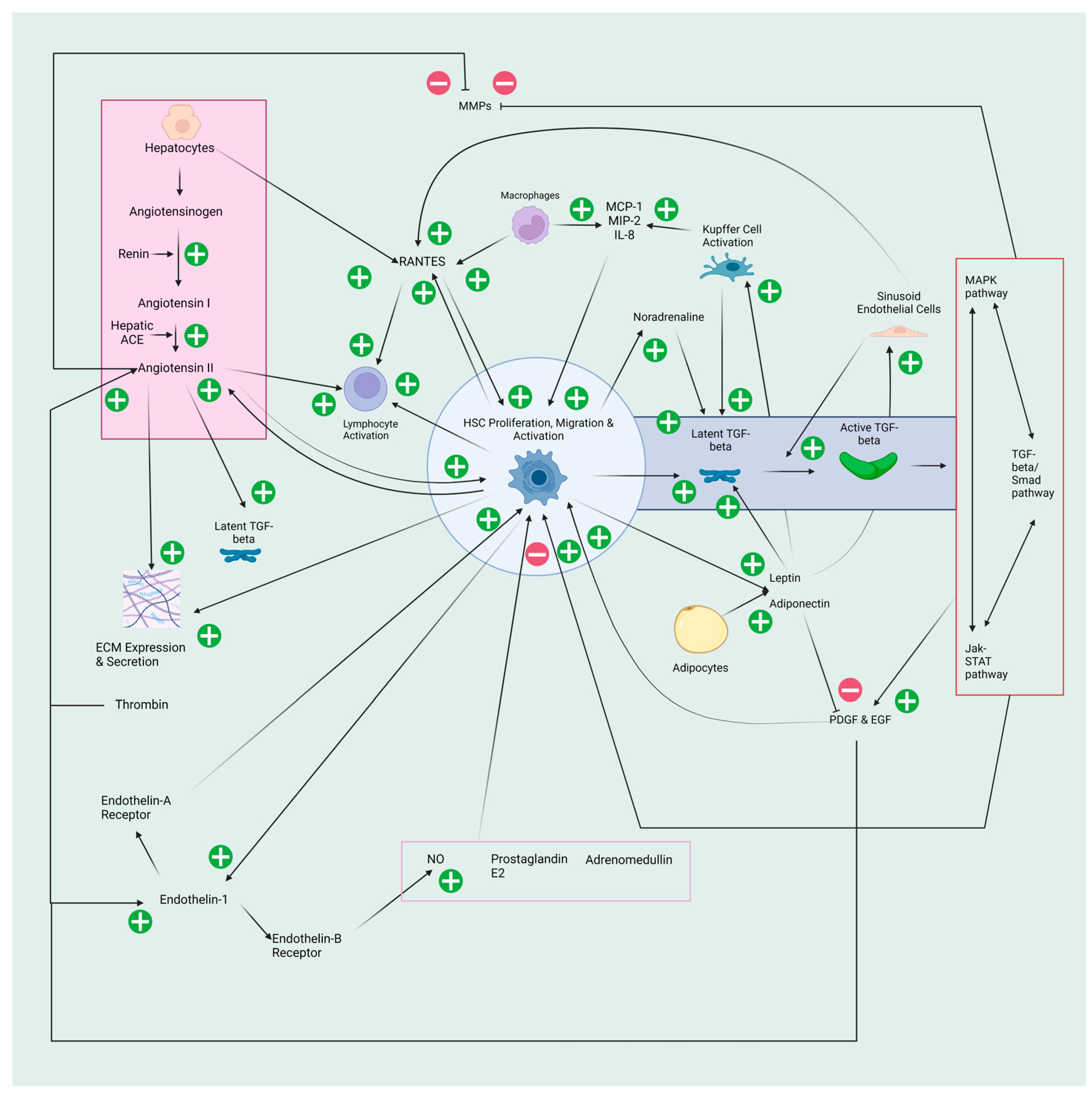 Pathogens 12 01087 g001