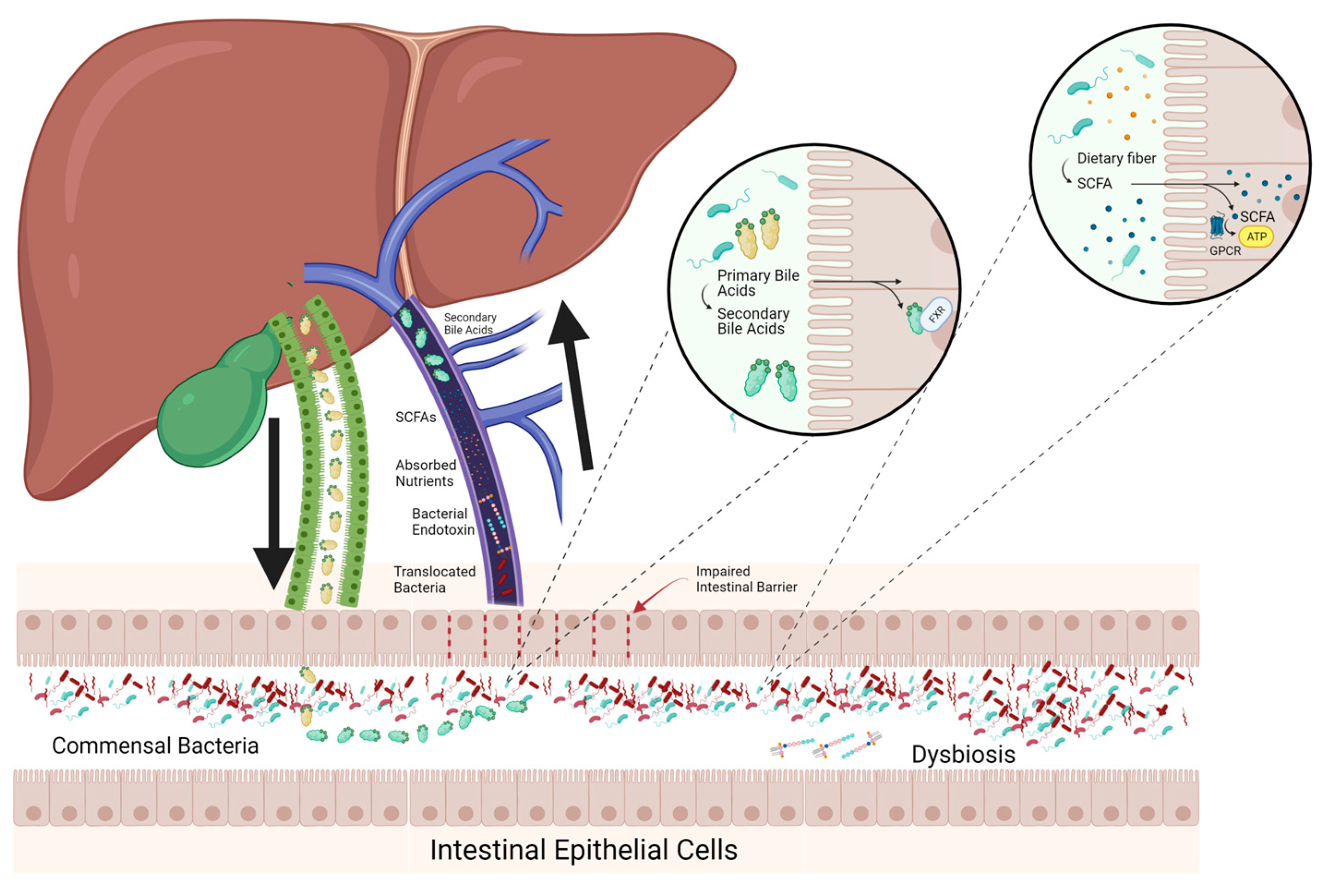 Pathogens 12 01087 g002