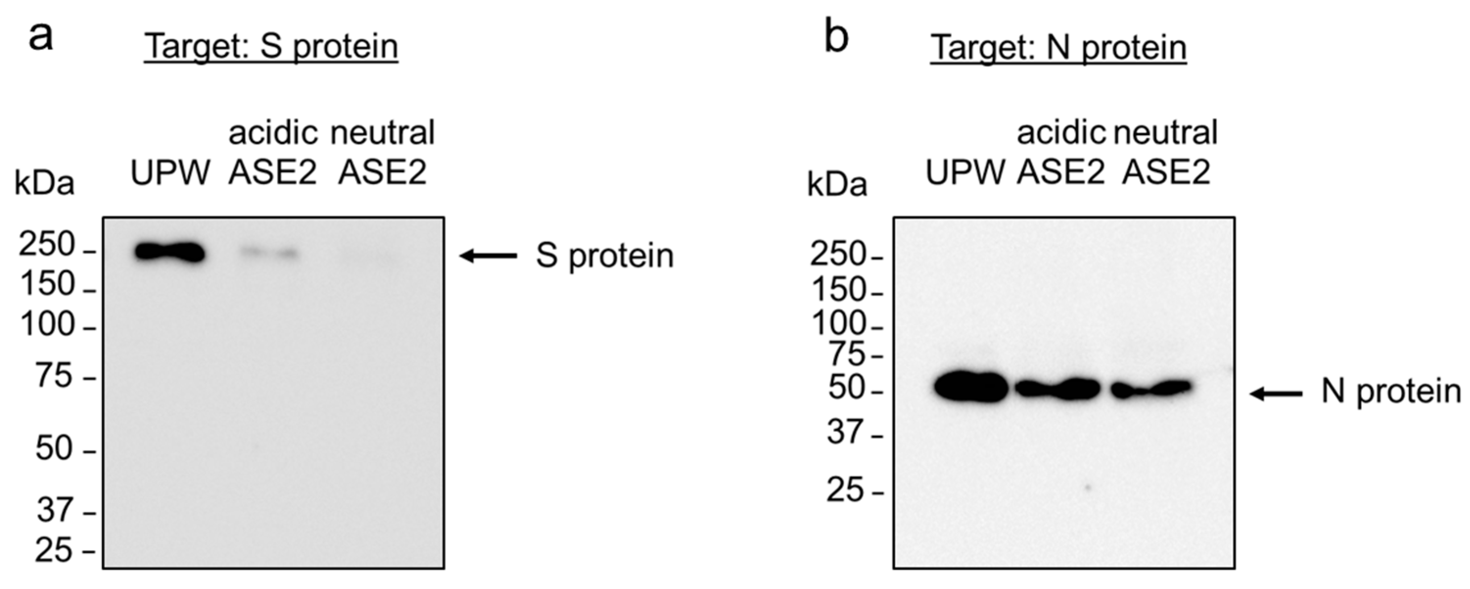 Pathogens 12 01093 g006