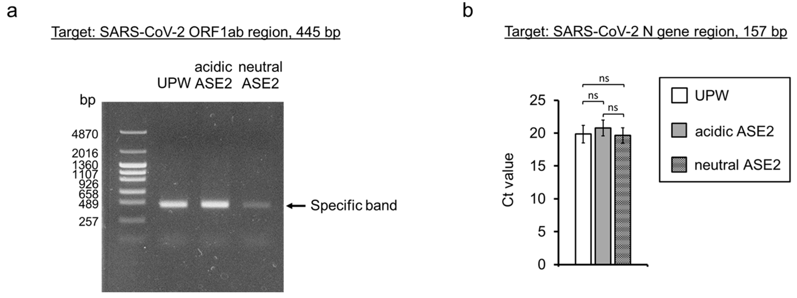 Pathogens 12 01093 g007