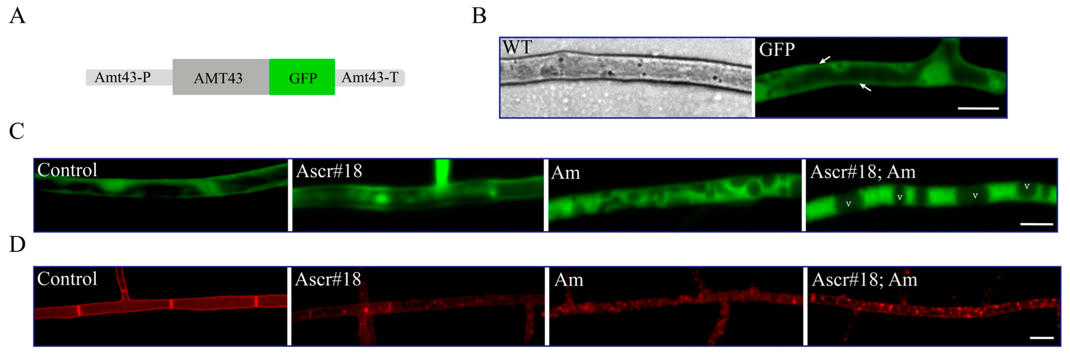 Pathogens 12 01114 g003