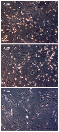 Pathogens 12 01115 g006