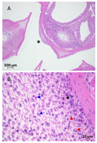 Pathogens 12 01115 g007