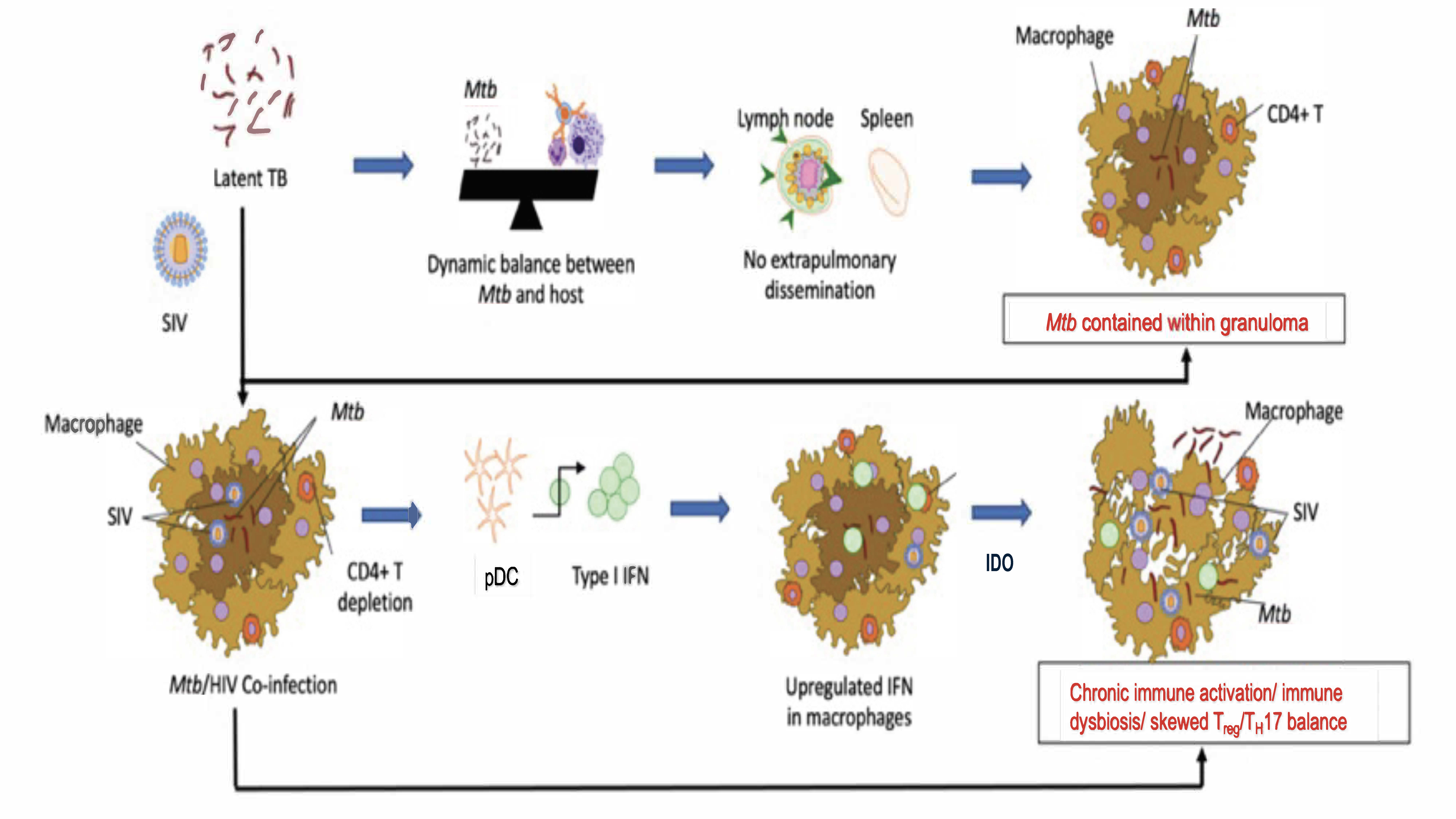 Pathogens 12 01120 g001
