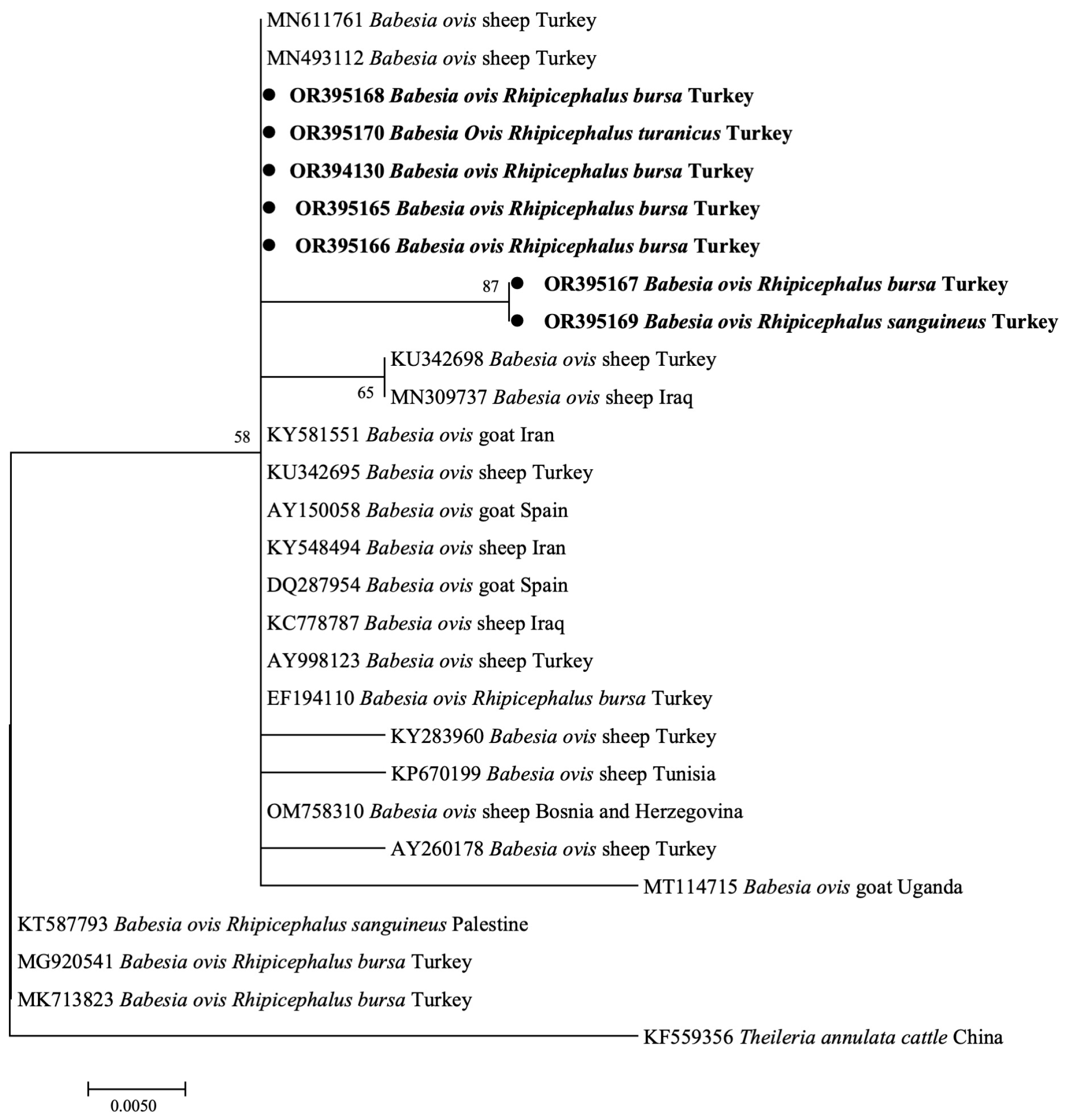 Pathogens 12 01123 g003