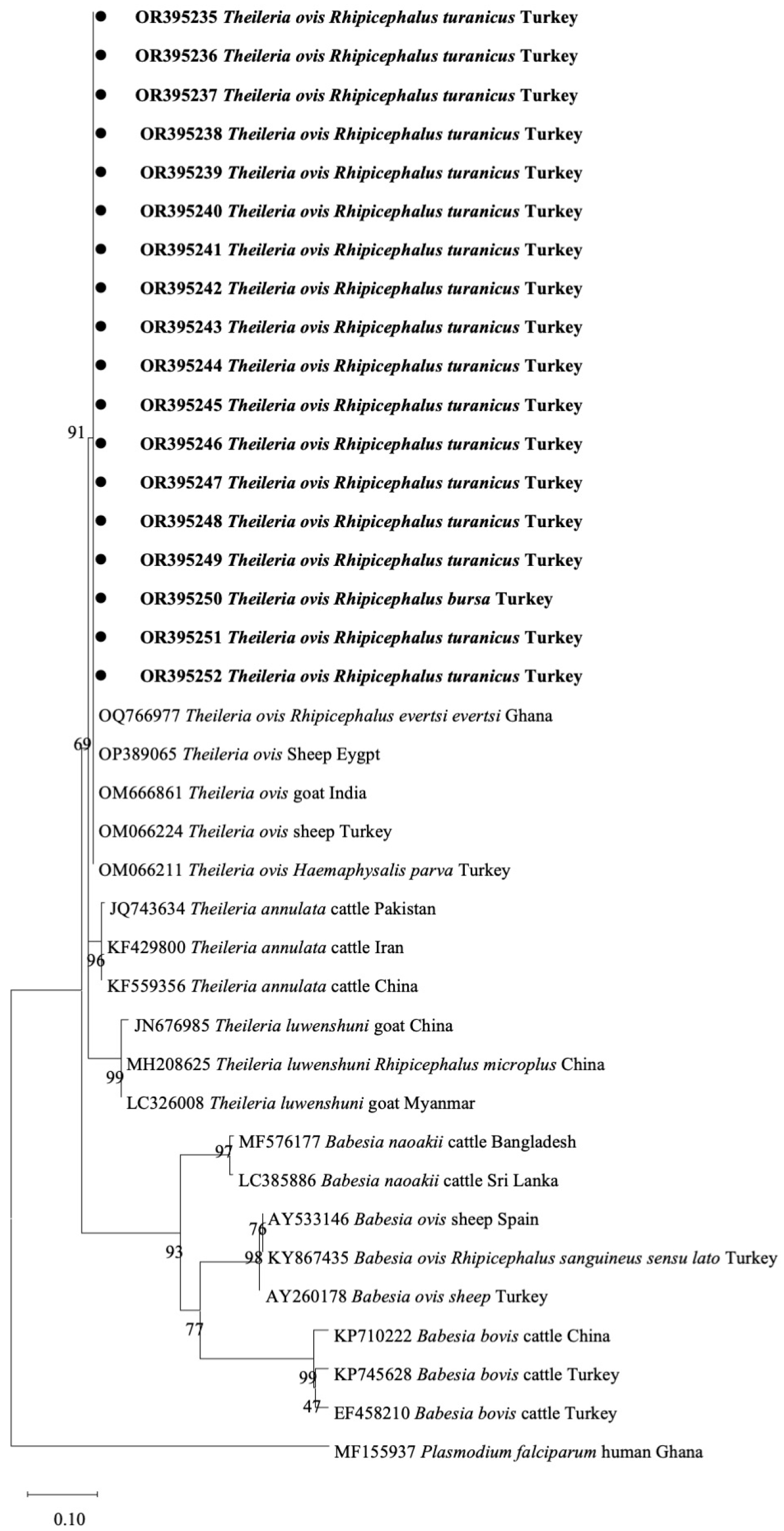 Pathogens 12 01123 g004