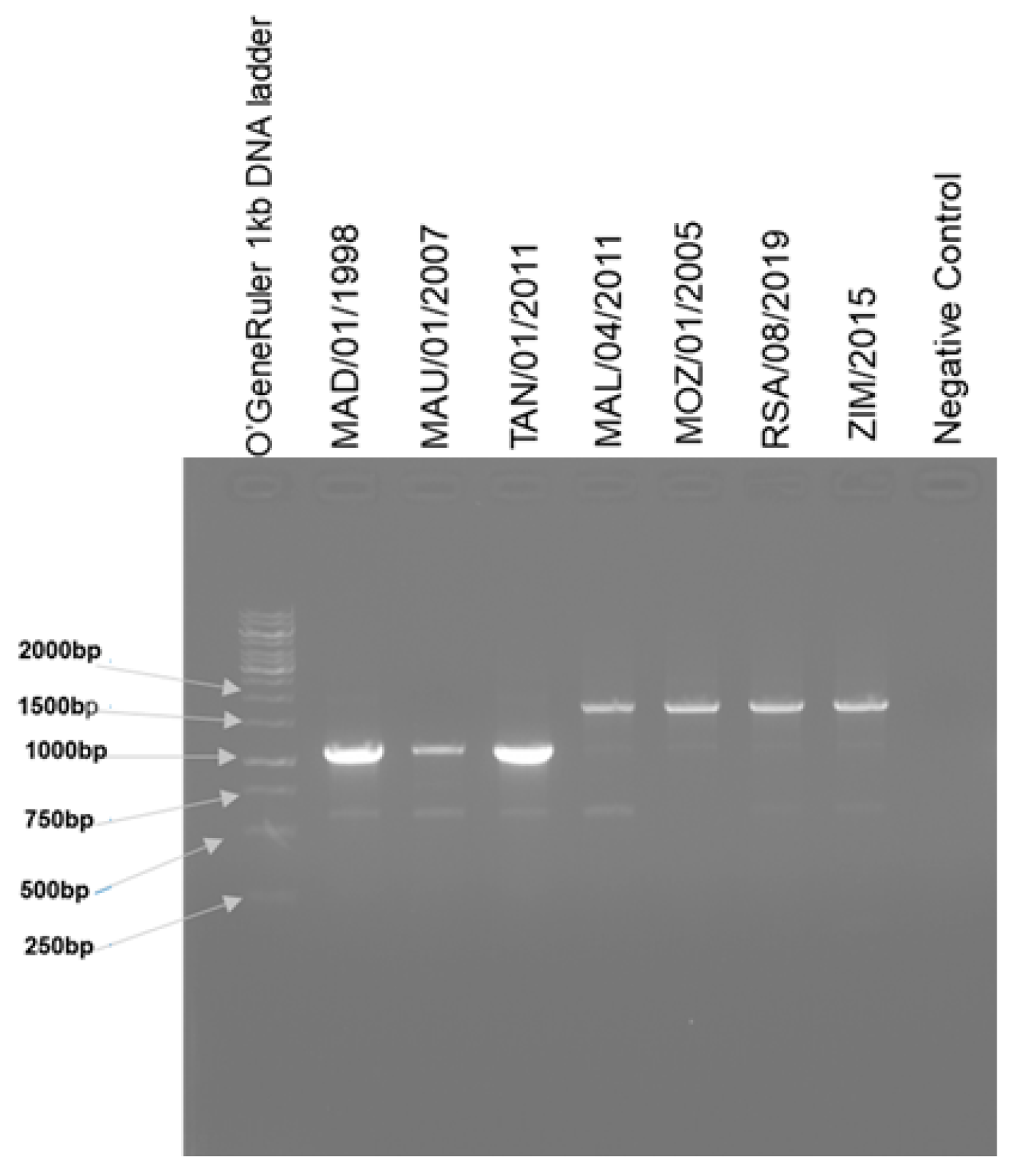 Pathogens 12 01129 g002