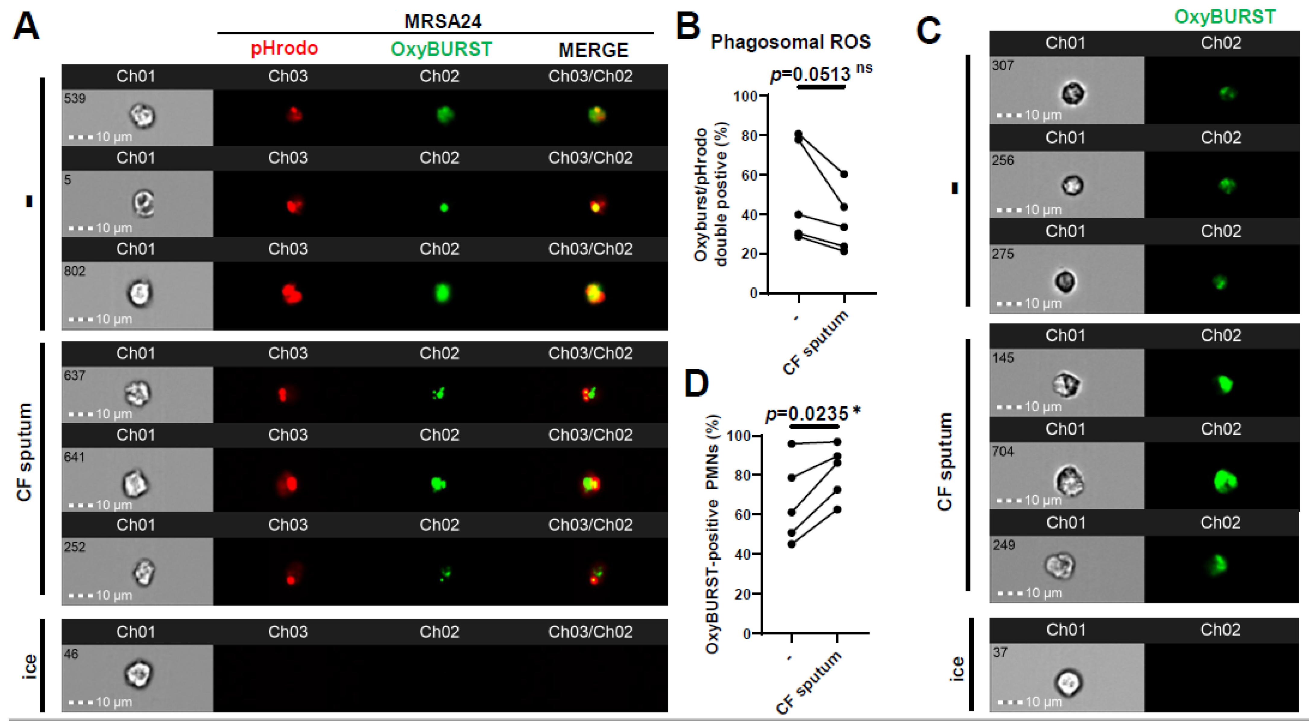 Pathogens 12 01148 g004