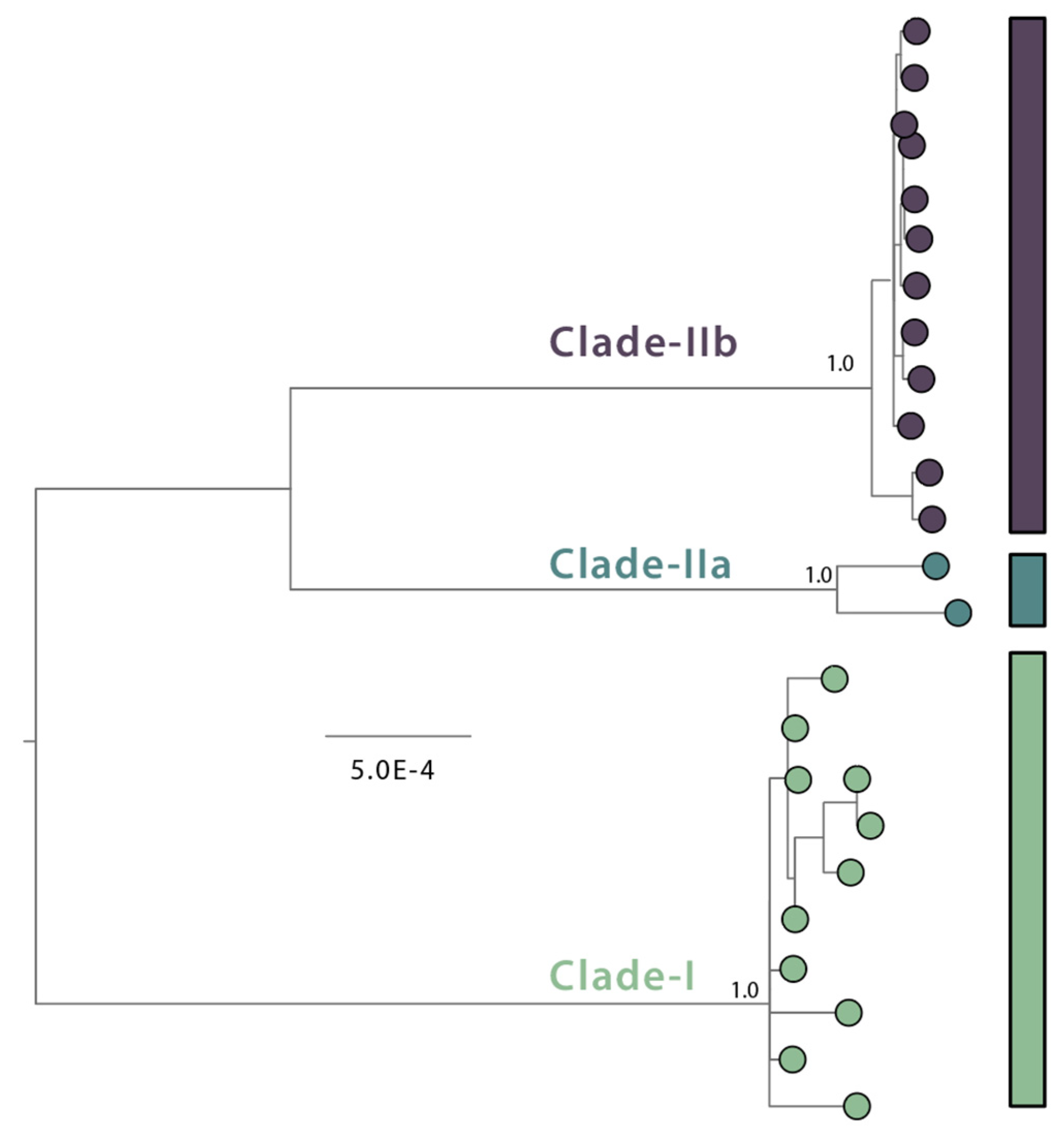 Pathogens 12 01153 g001