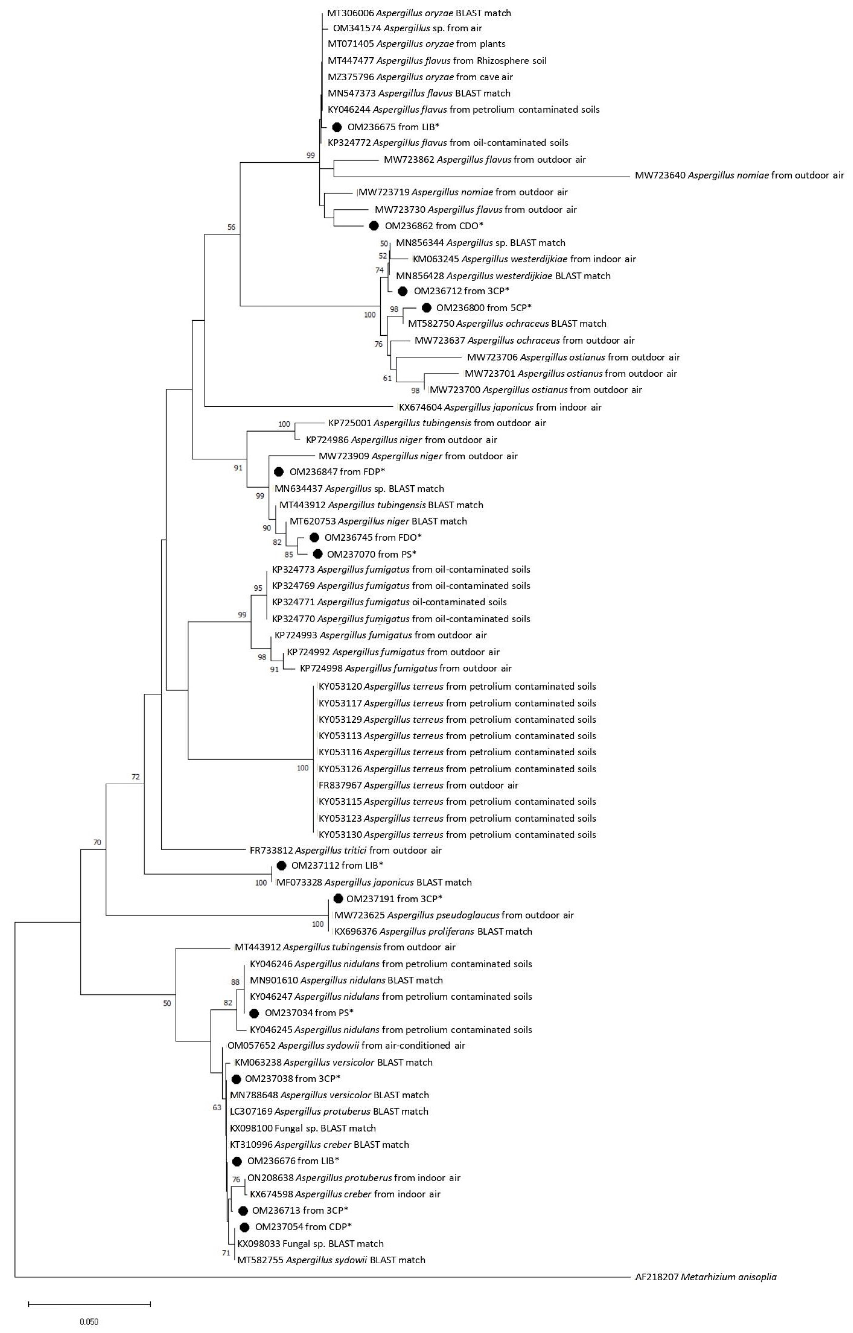 Pathogens 12 01154 g002 Pathogens 12 01154 g002
