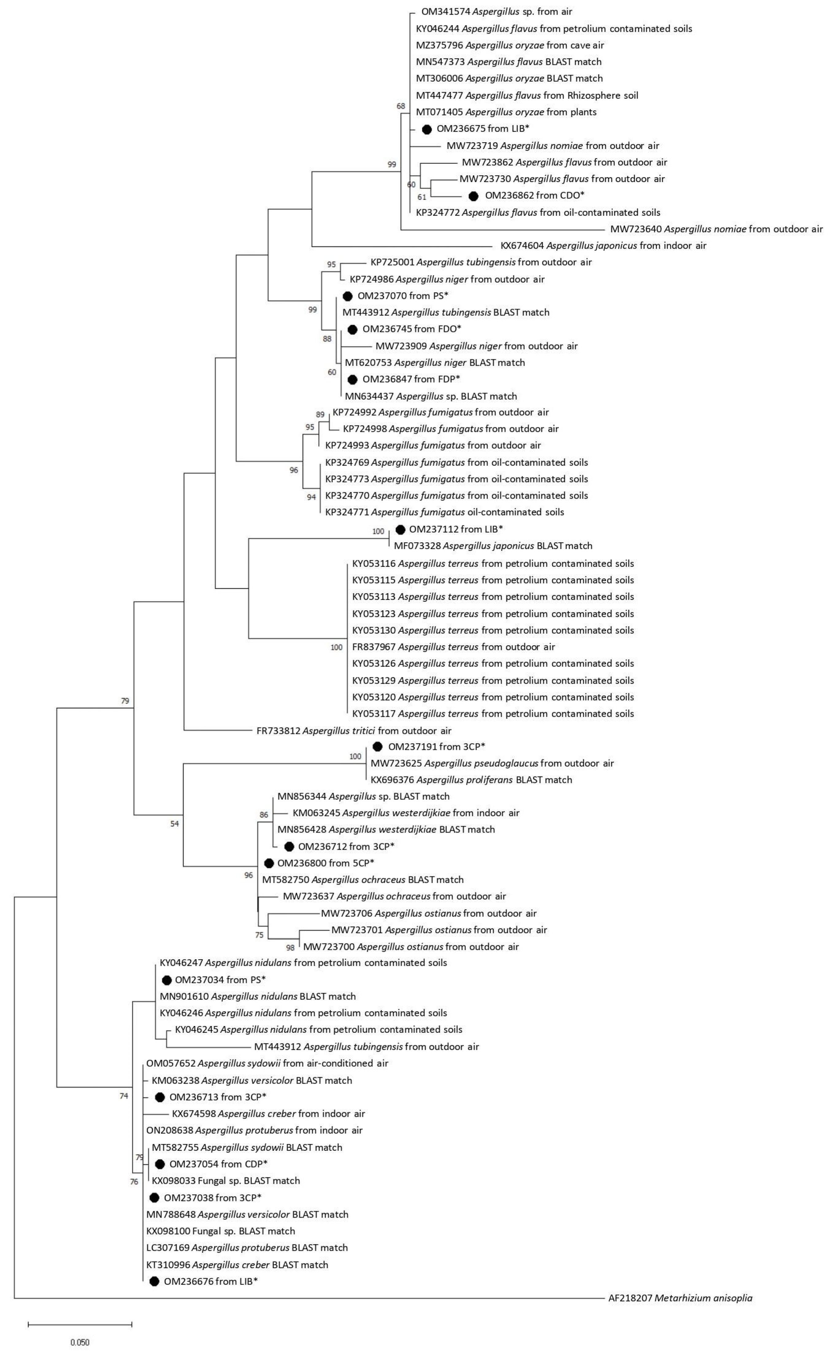 Pathogens 12 01154 g003 Pathogens 12 01154 g003
