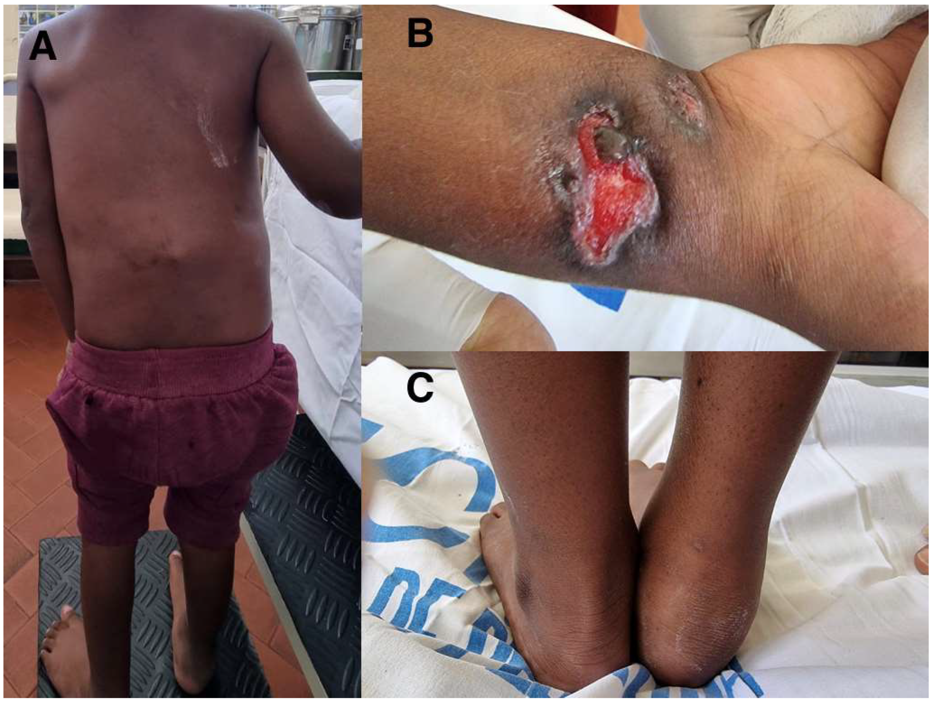 Pathogens 12 01163 g001